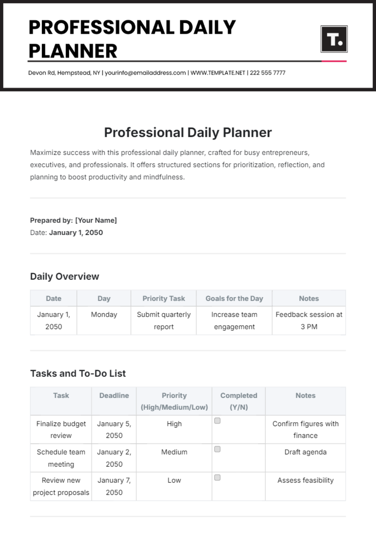 Professional Daily Planner Template