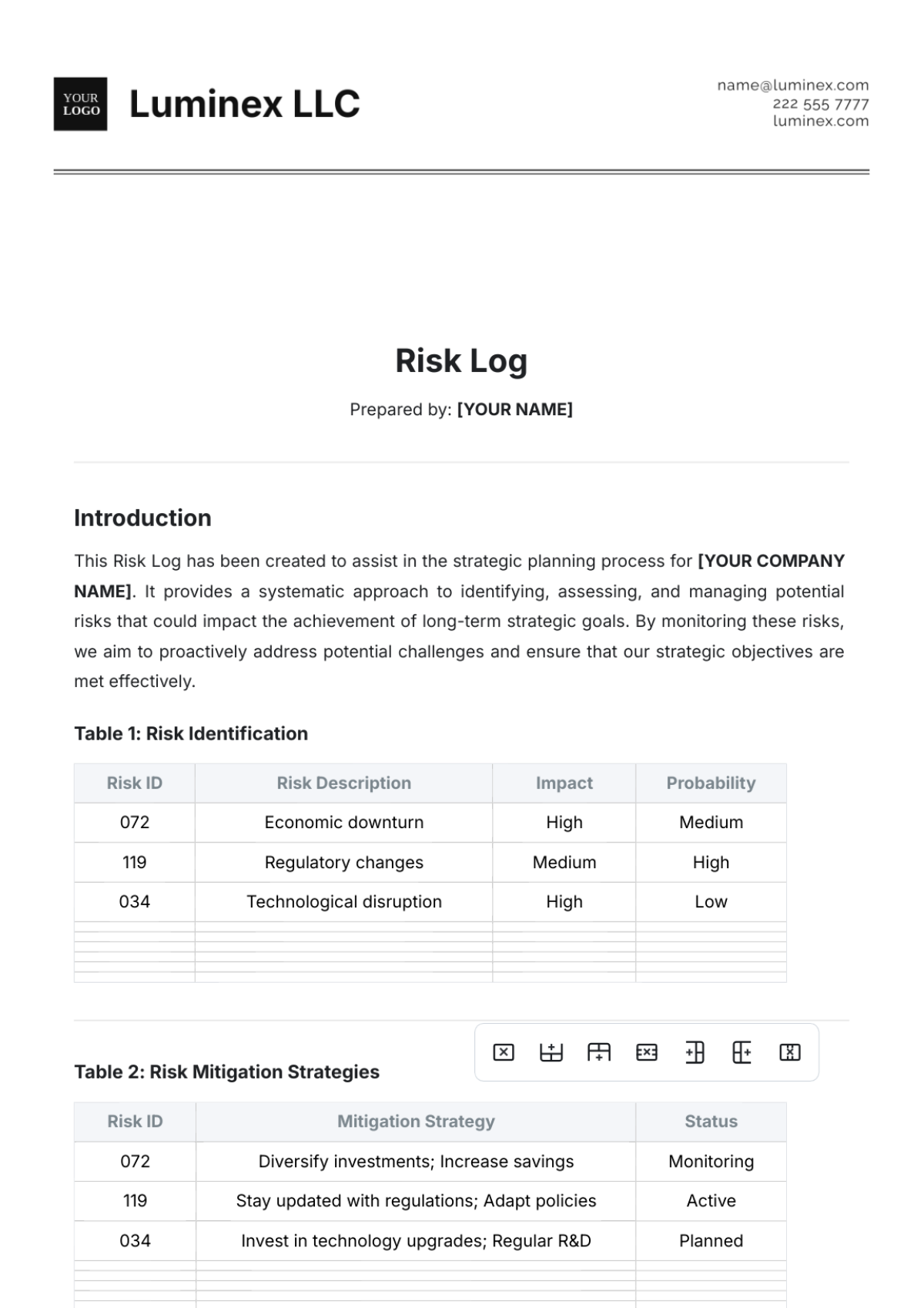 Risk Log Template