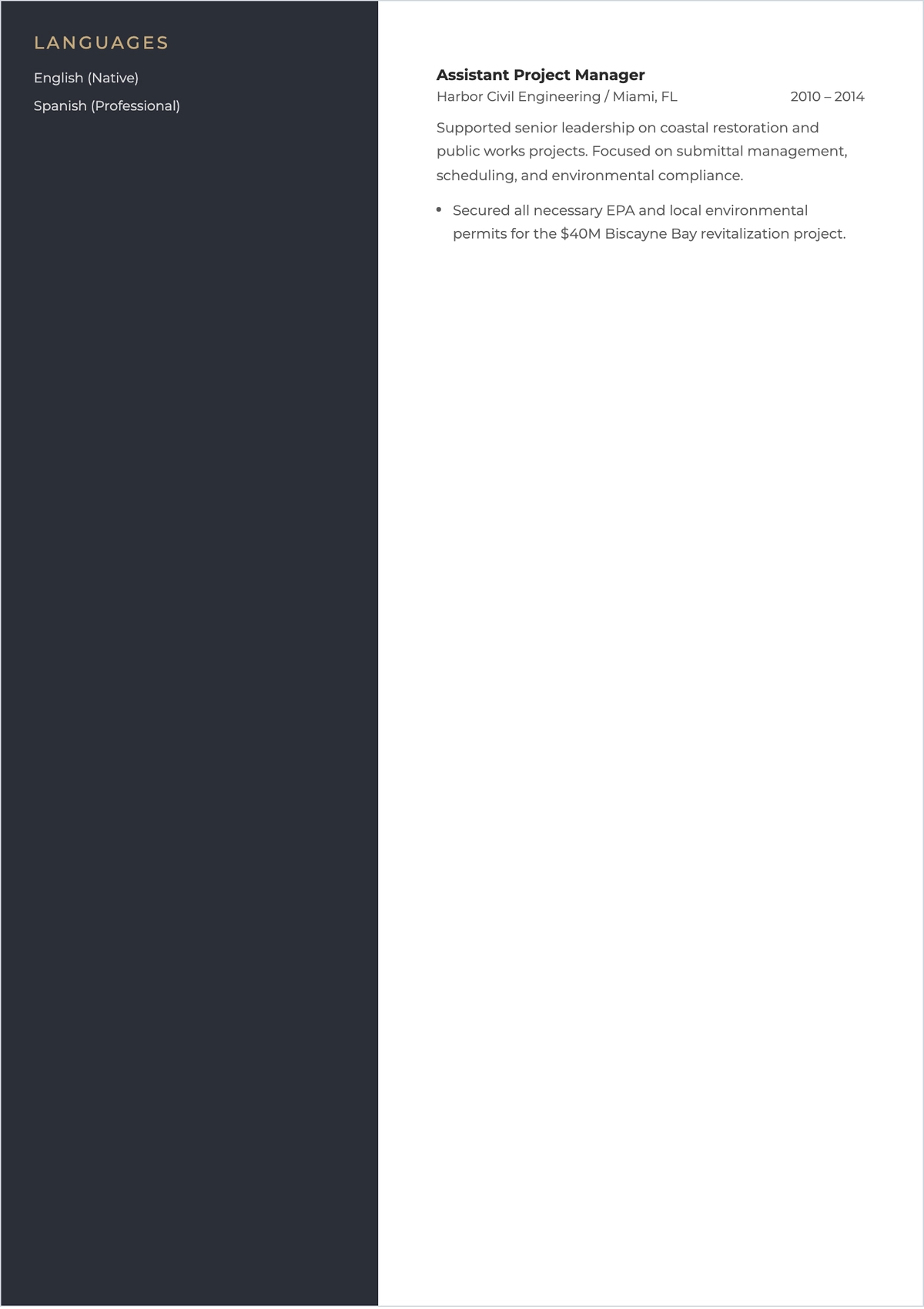 Free Blank ATS Resume for Job Application Template, AI Resume Builder