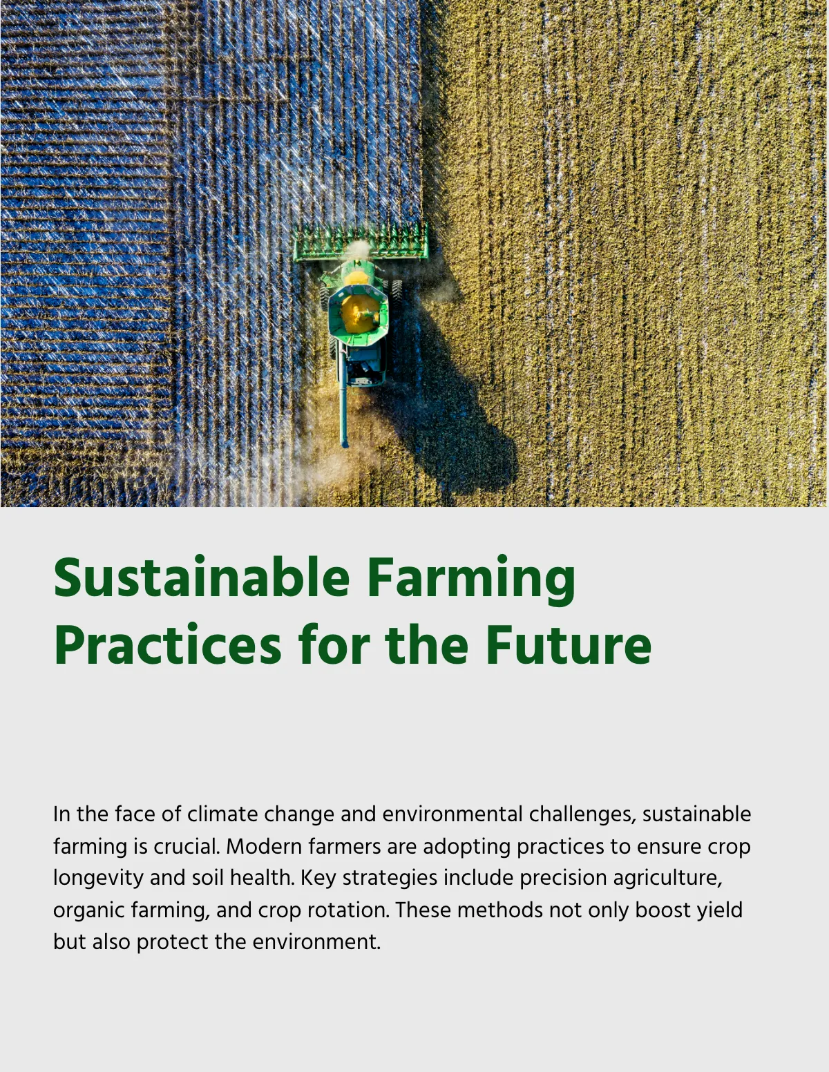 Free Printable Agriculture Magazine Template to Edit Online