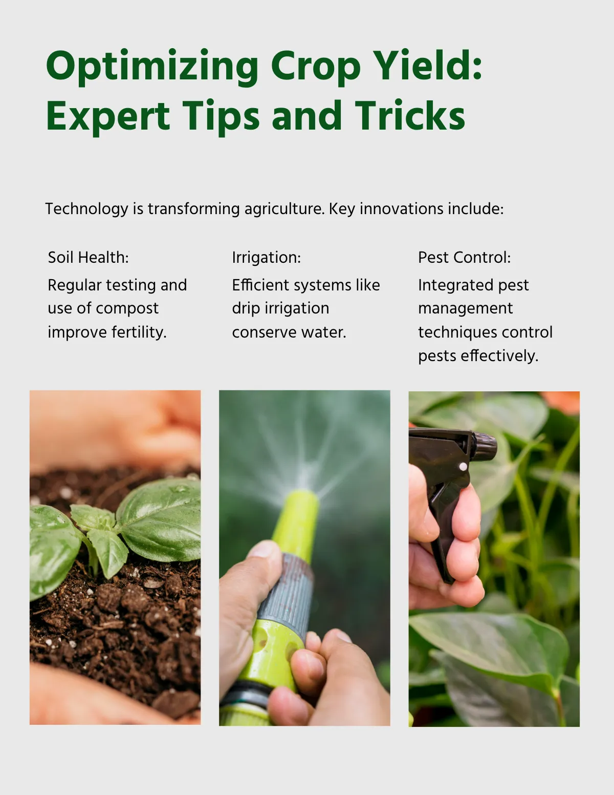 Free Printable Agriculture Magazine Template to Edit Online