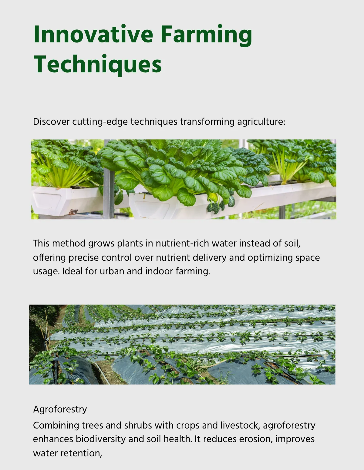 Free Printable Agriculture Magazine Template to Edit Online