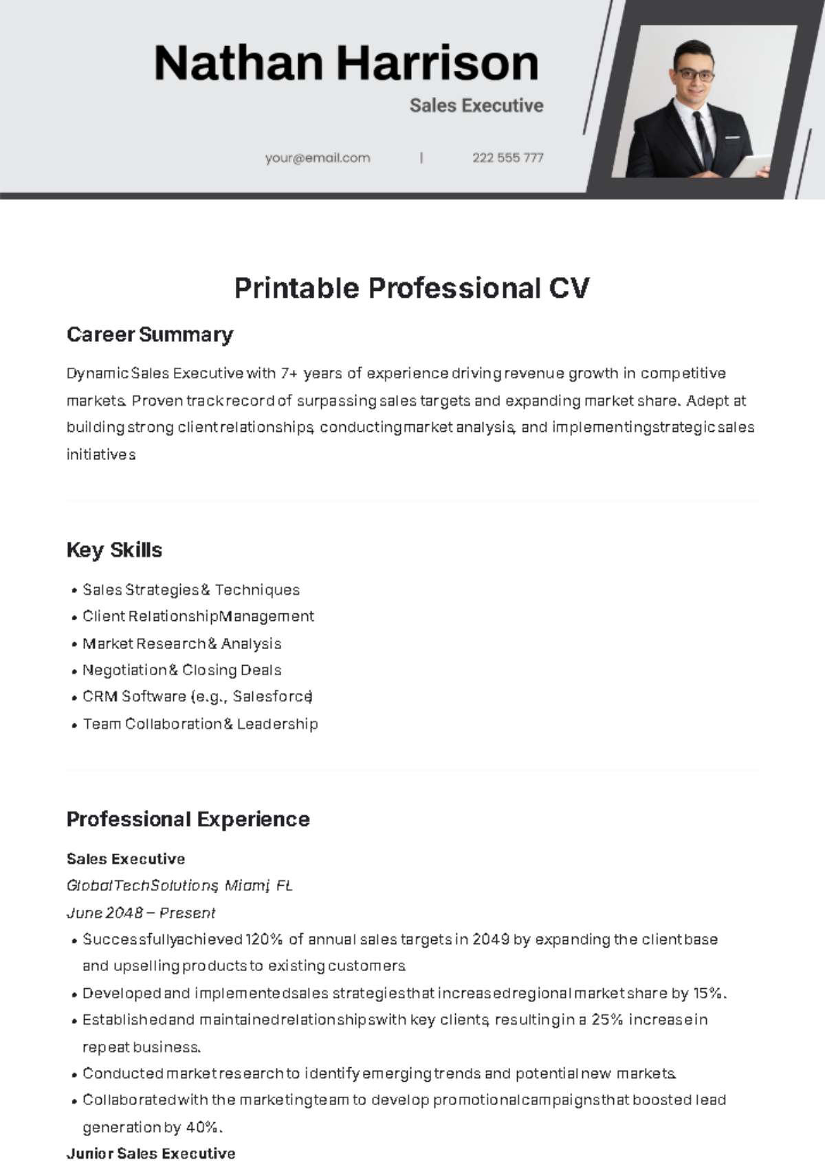 Printable Professional CV Template - Edit Online & Download