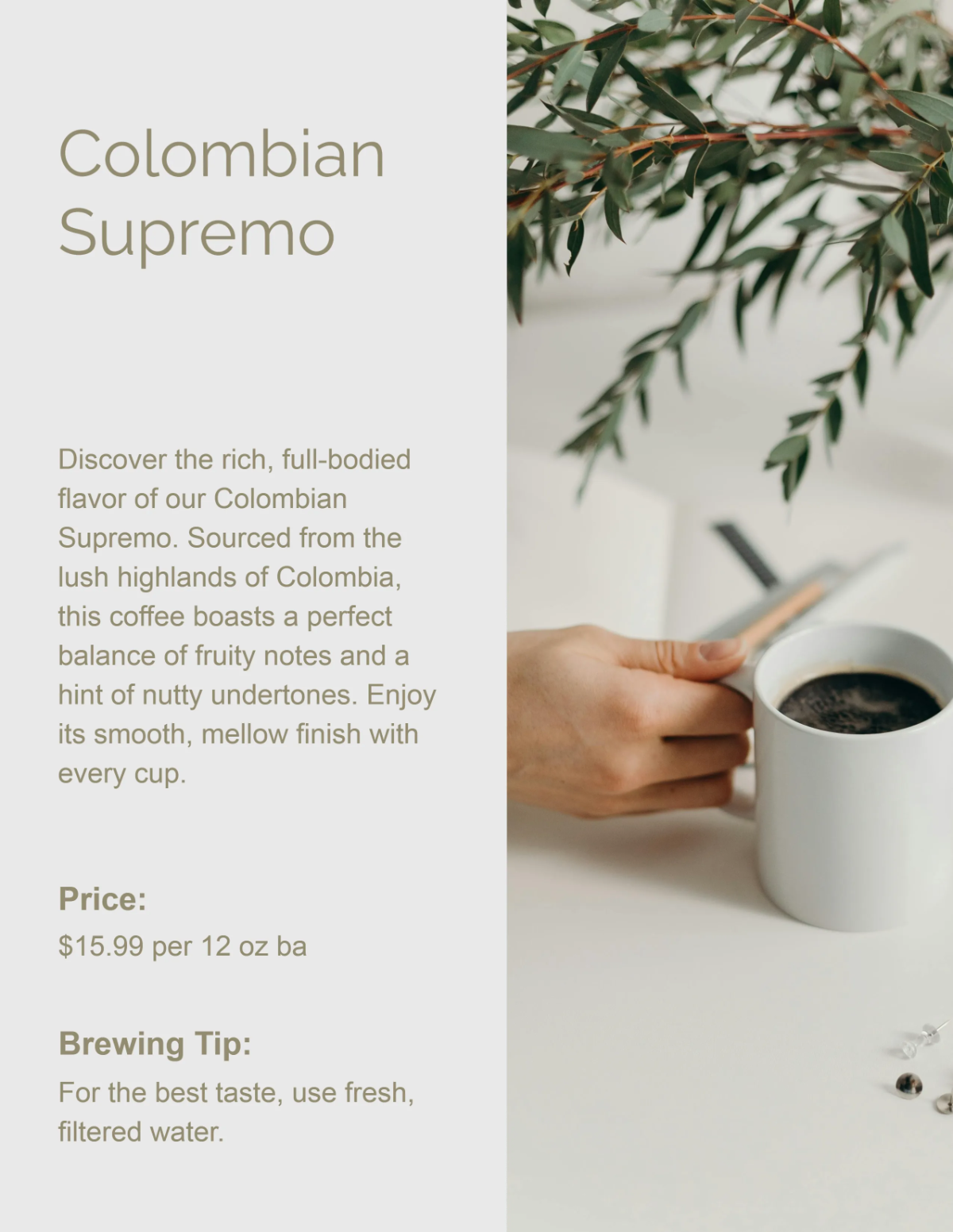 Free Modern Coffee Catalog Template to Edit Online