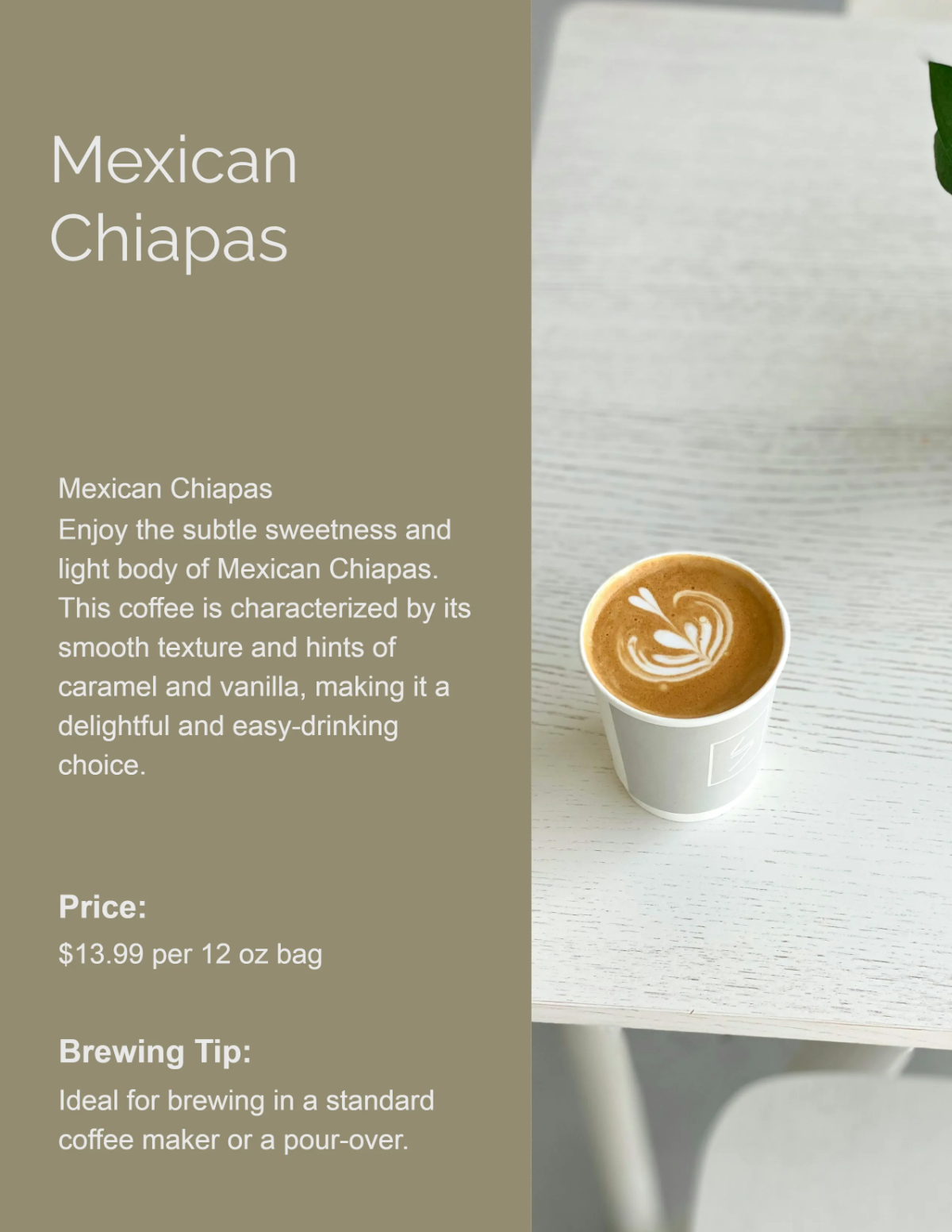 Free Modern Coffee Catalog Template to Edit Online