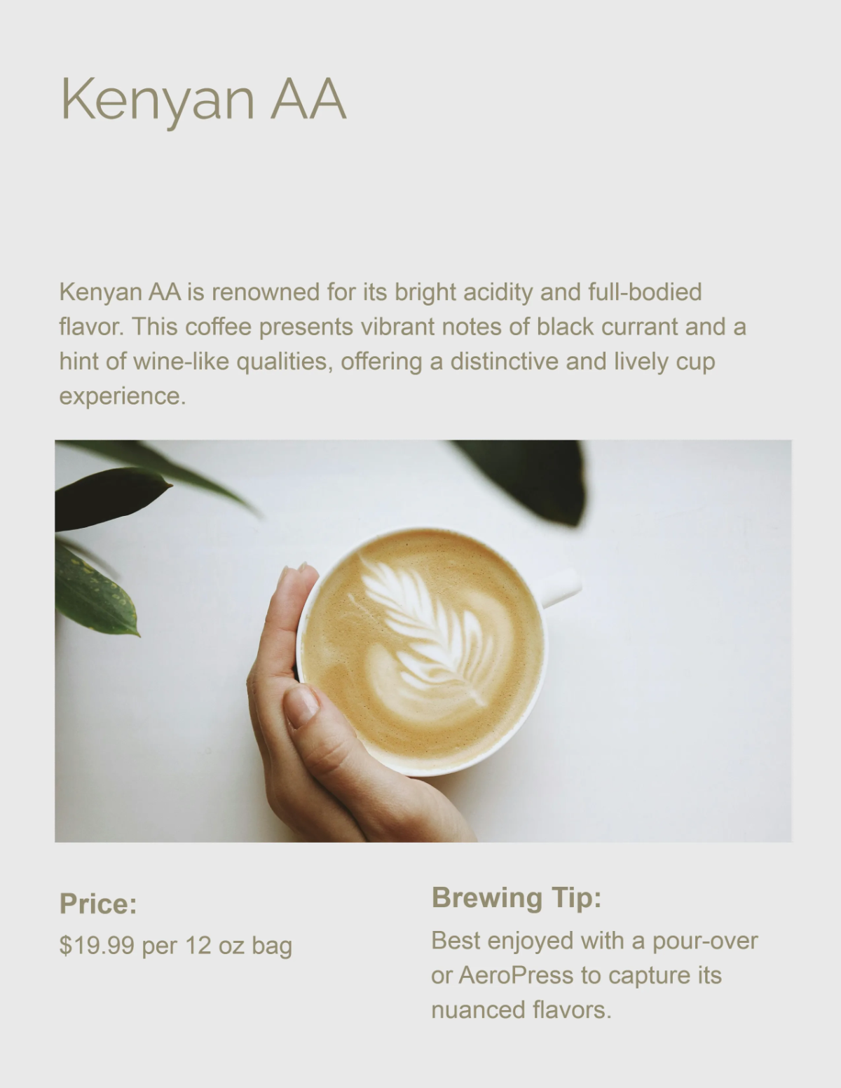 Free Modern Coffee Catalog Template to Edit Online
