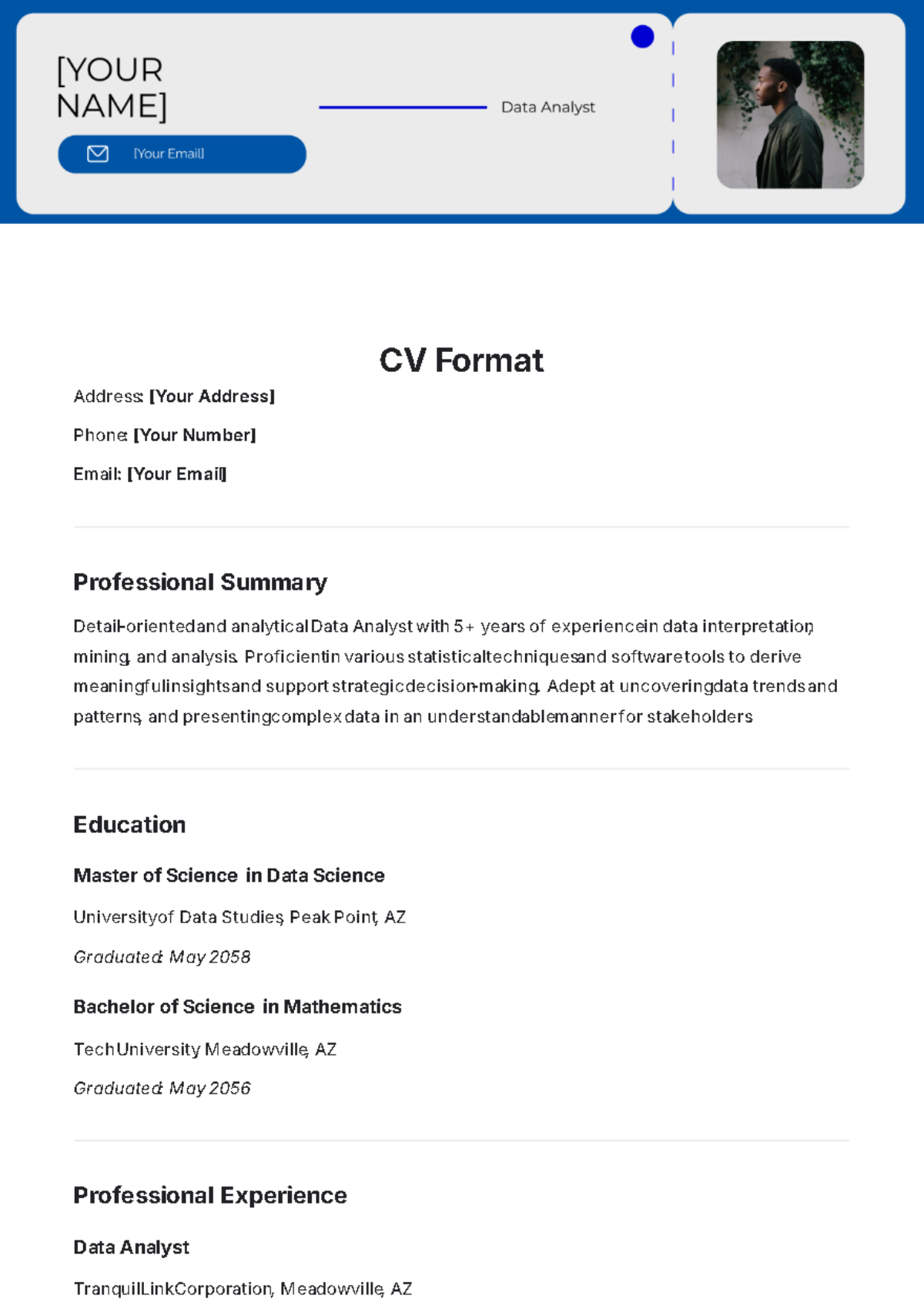 CV Format Template - Edit Online & Download