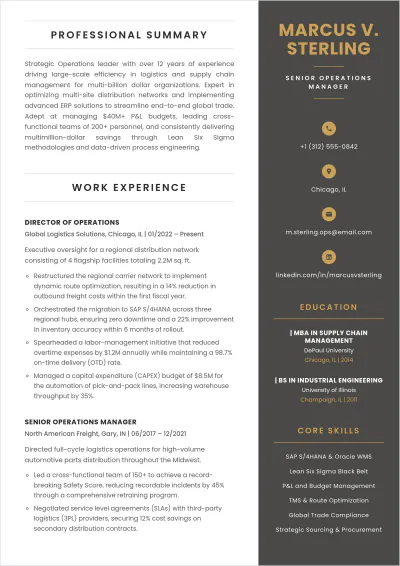 Free Work Experience ATS CV Template, AI CV Builder