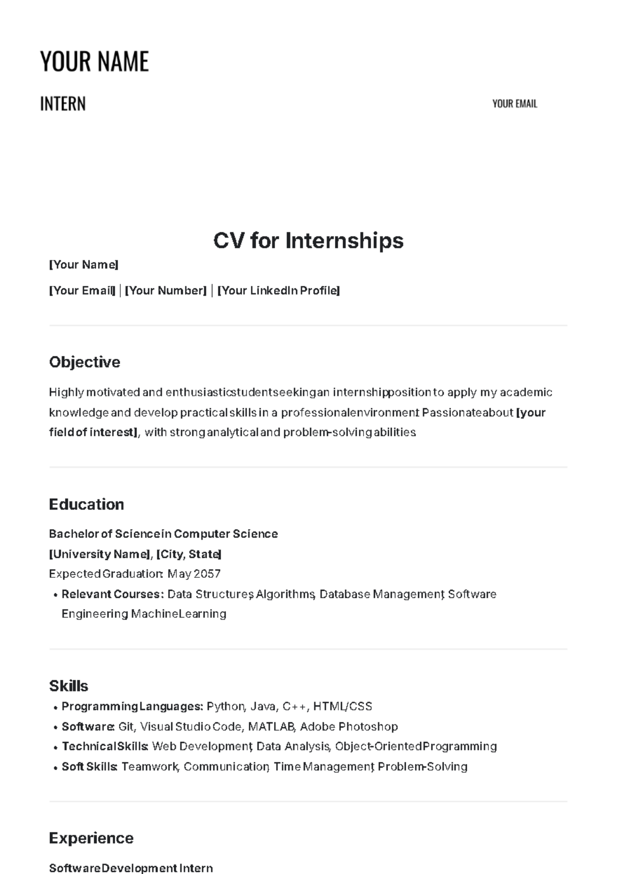 CV for Internships Template - Edit Online & Download