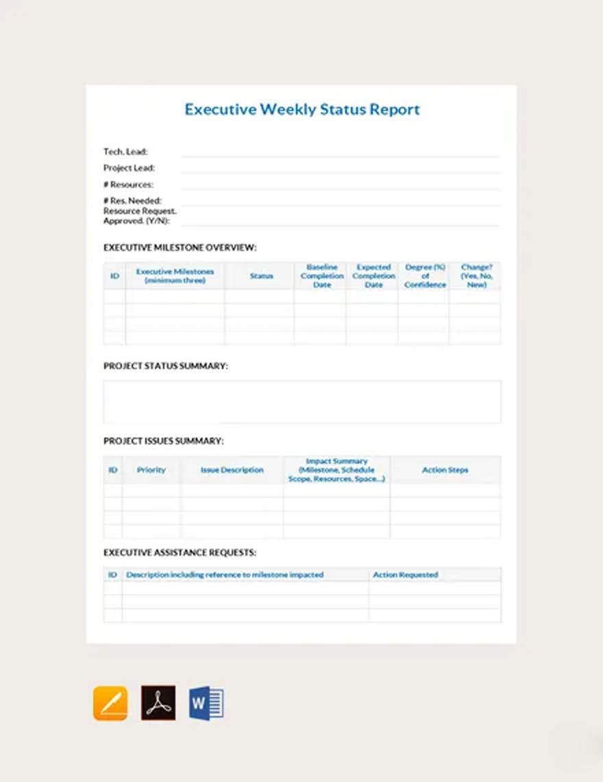 Executive Weekly Status Report Template