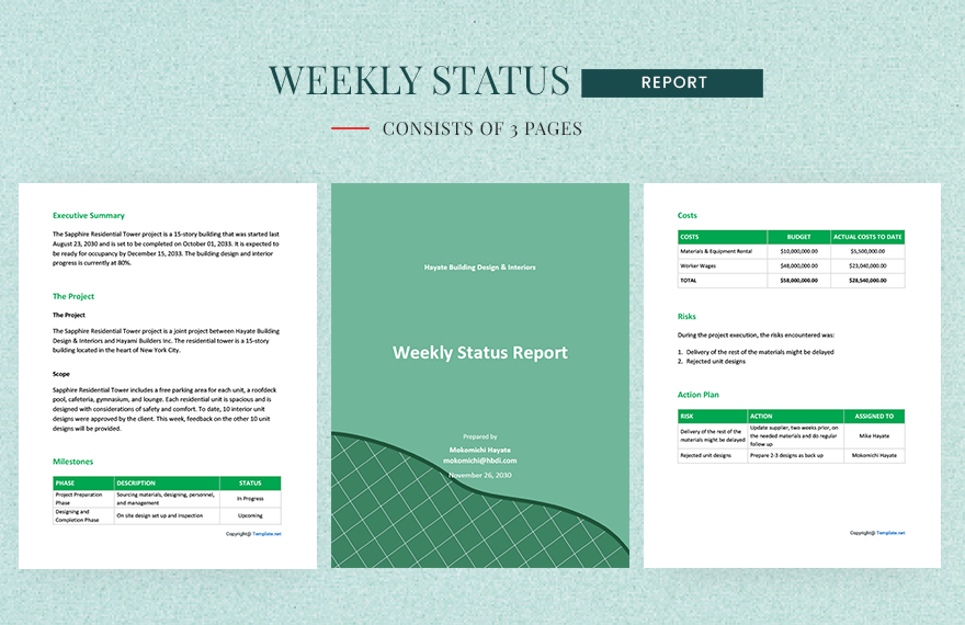 Sample Weekly Status Report Template