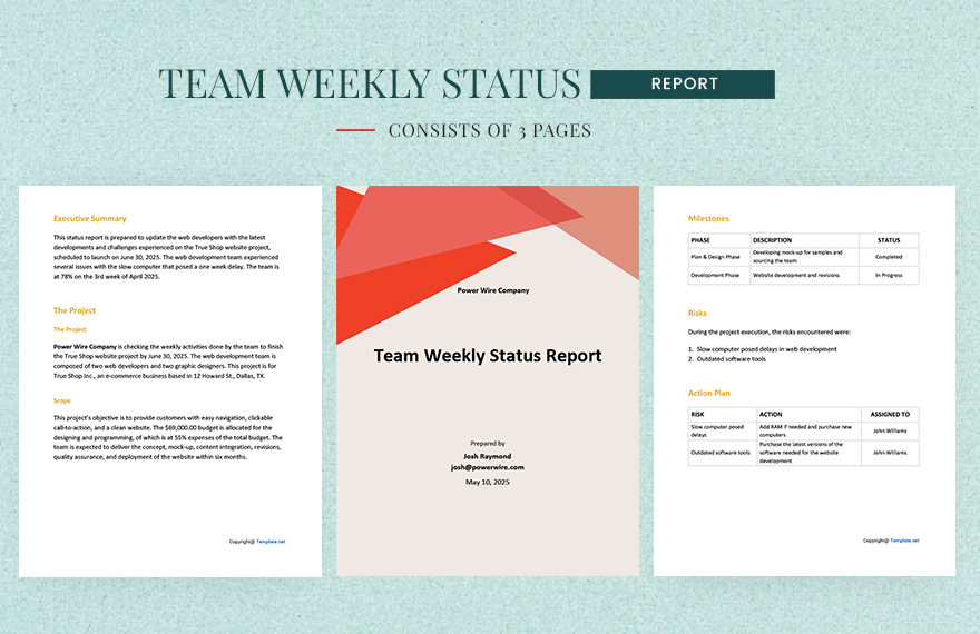 Team Weekly Status Report Template