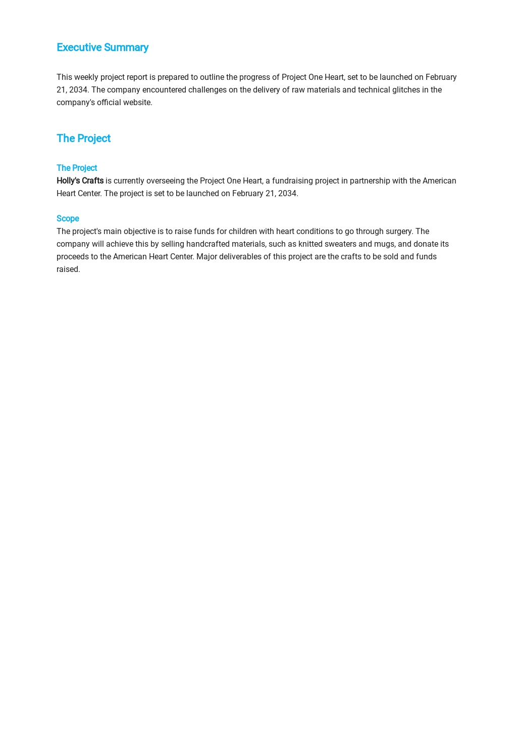 Free Blank Weekly Project Status Report Template 1.jpe