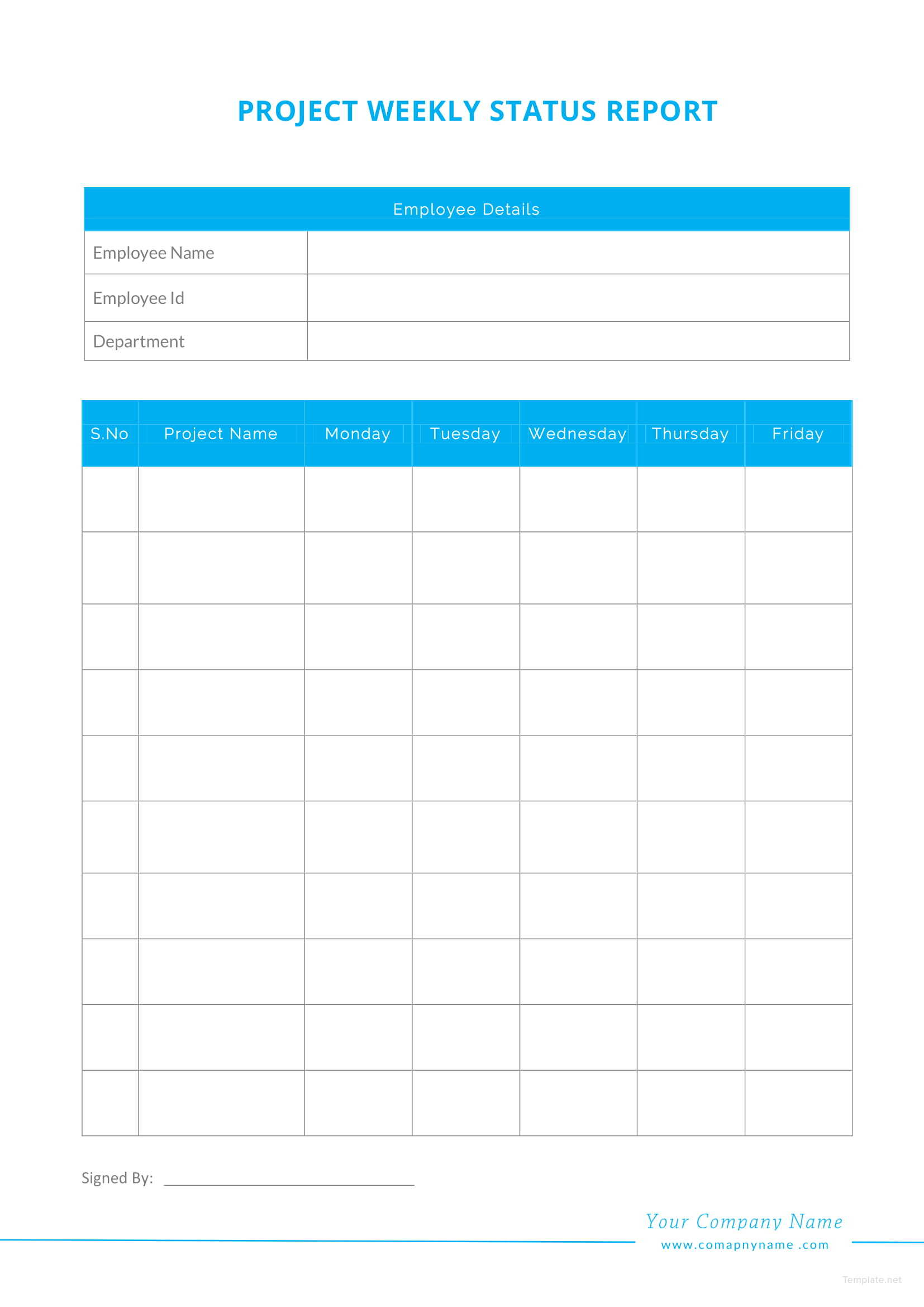 Weekly Executive Project Status Report Template