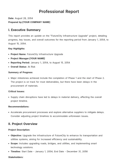 Free Professional Report Template to Edit Online