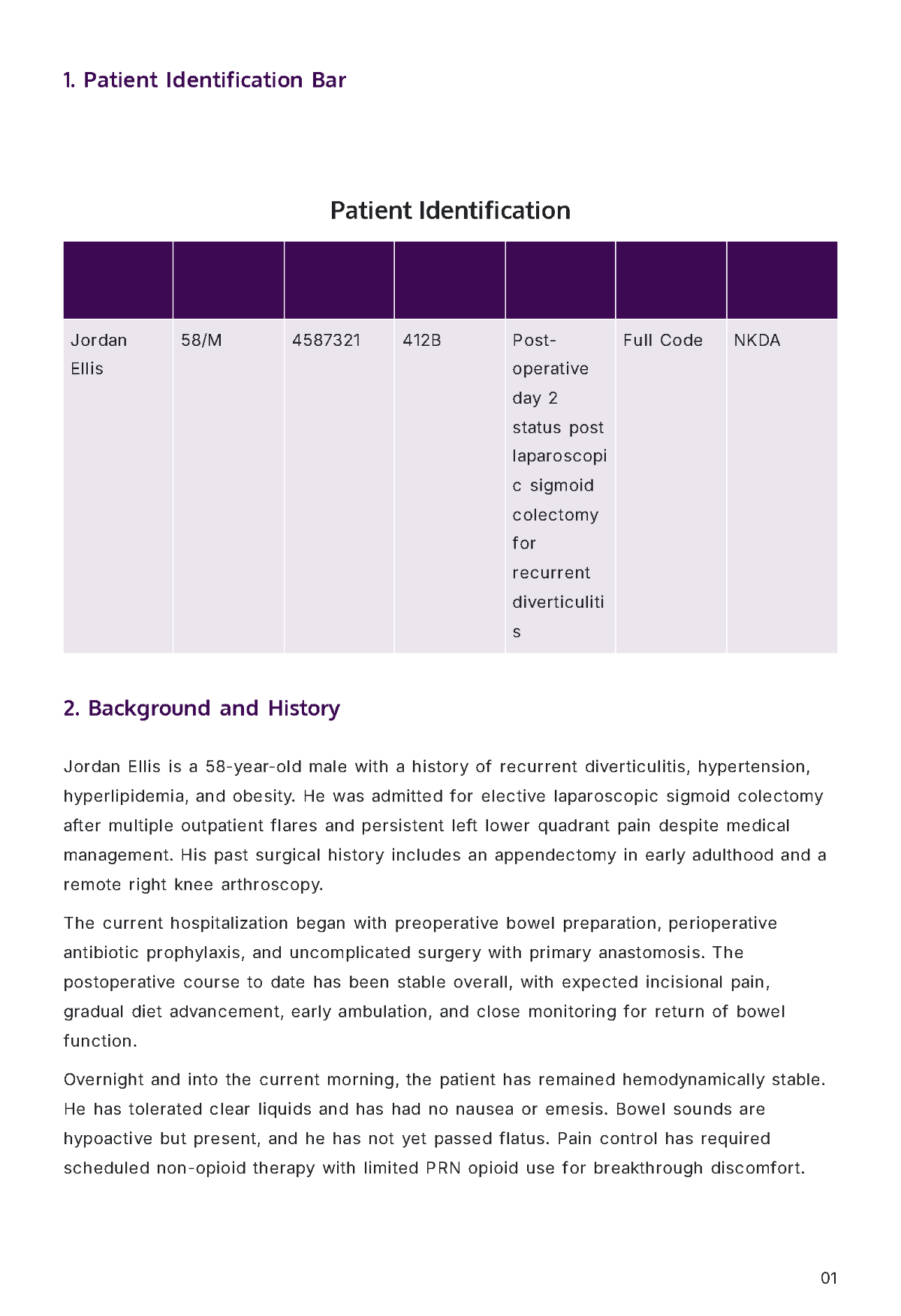 Free Nursing Report Template to Edit Online