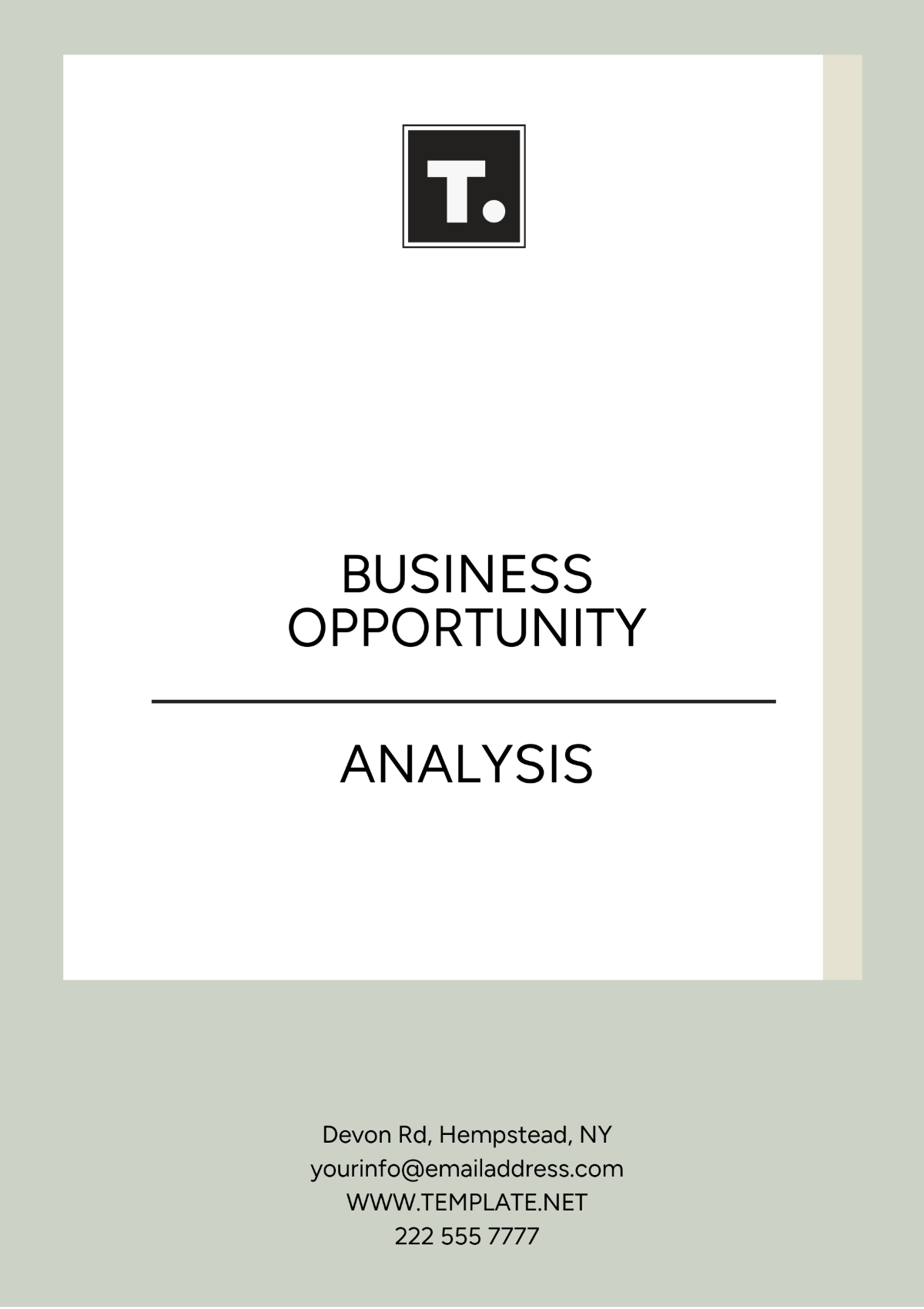 Business Opportunity Analysis Template