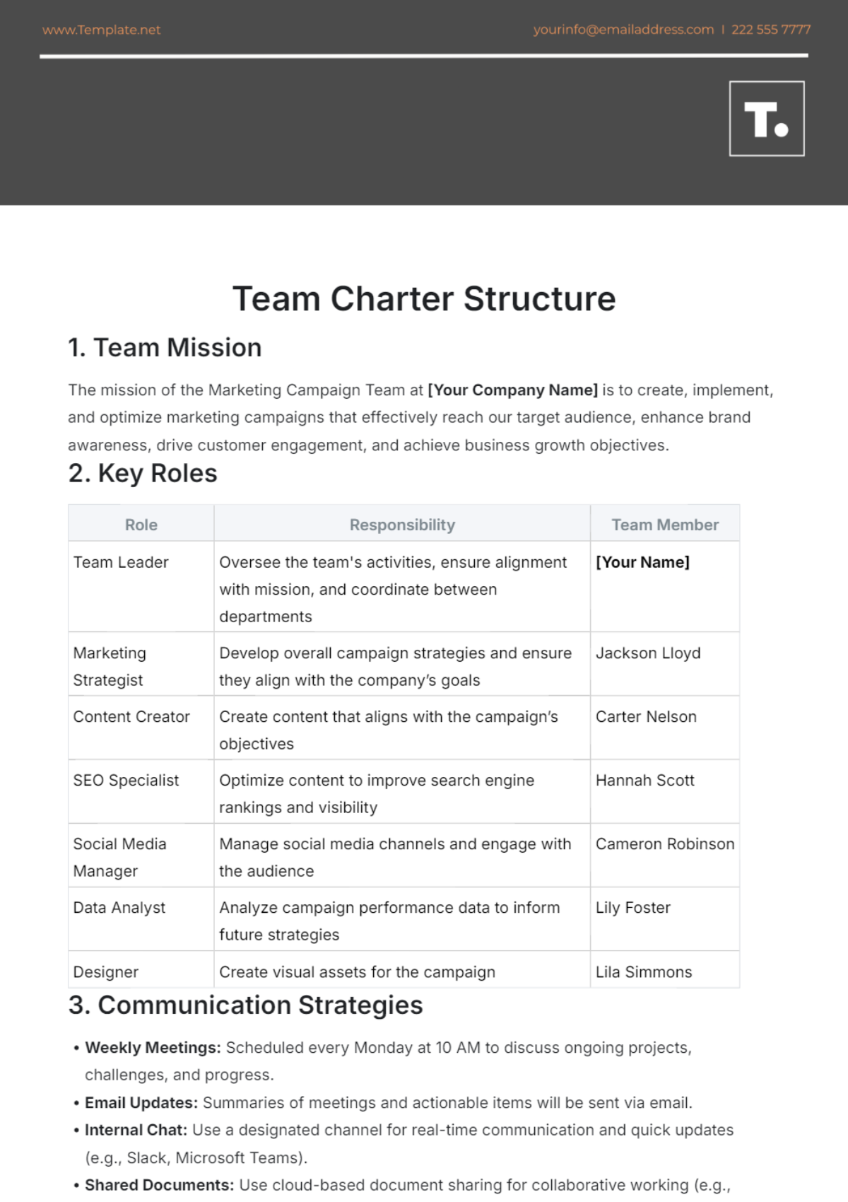 Professional Team Charter Structure Template