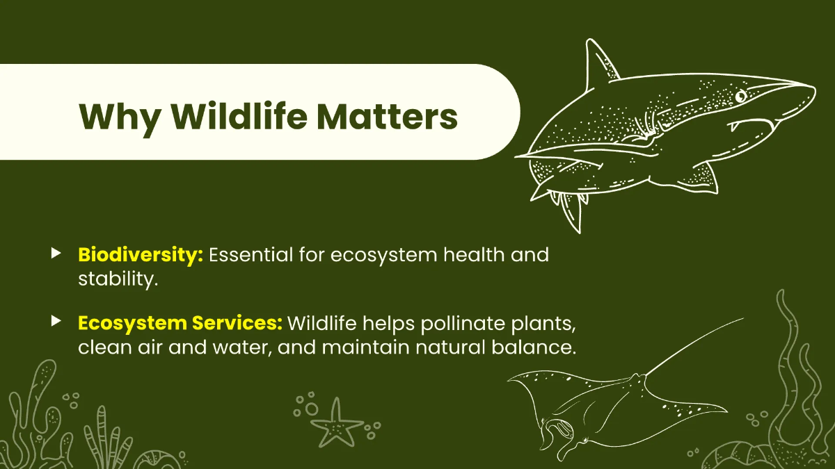 Free National Wildlife Day Presentation Template to Edit Online