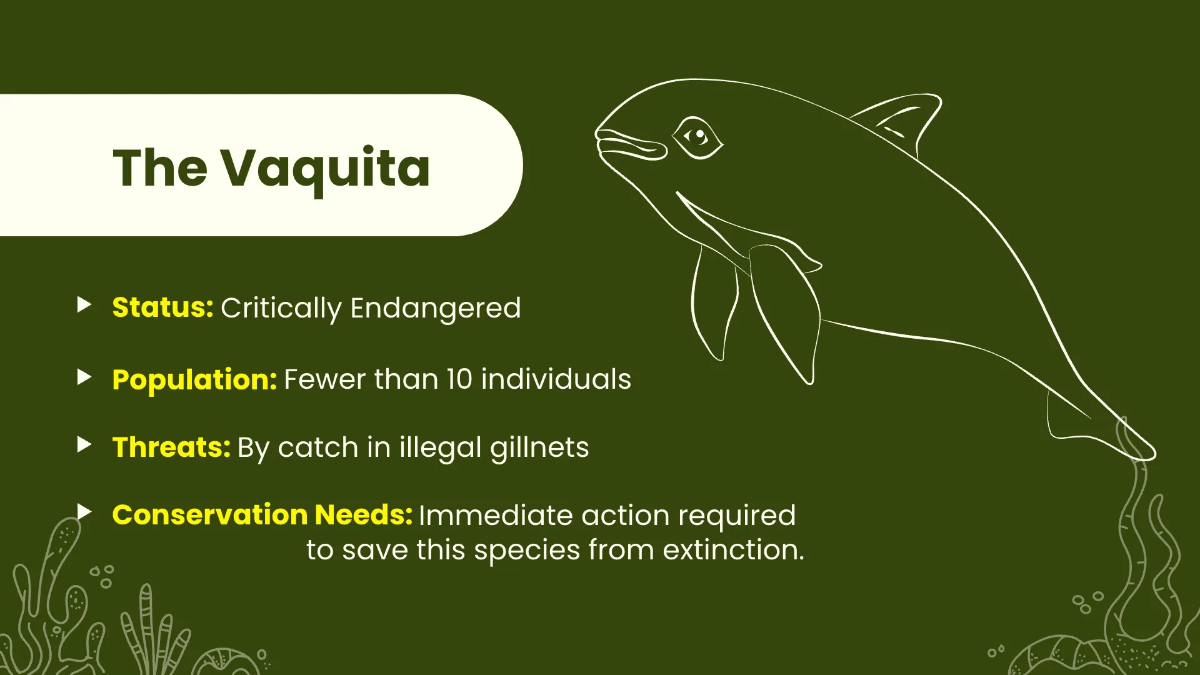 Free National Wildlife Day Presentation Template to Edit Online