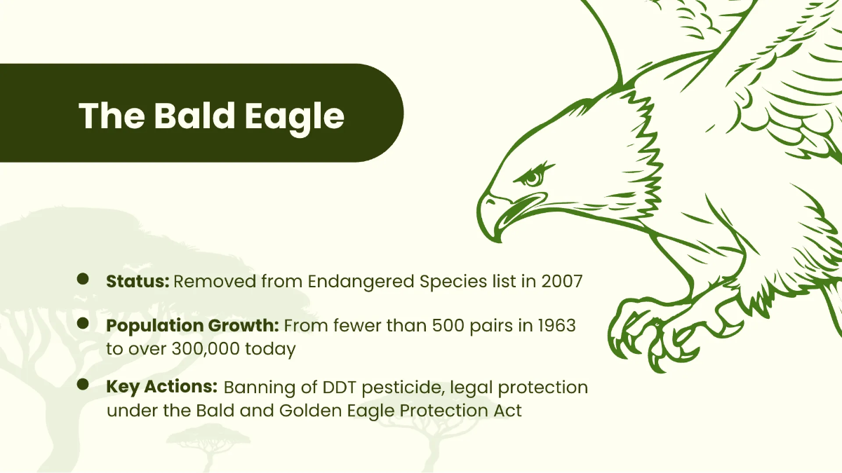 Free National Wildlife Day Presentation Template to Edit Online