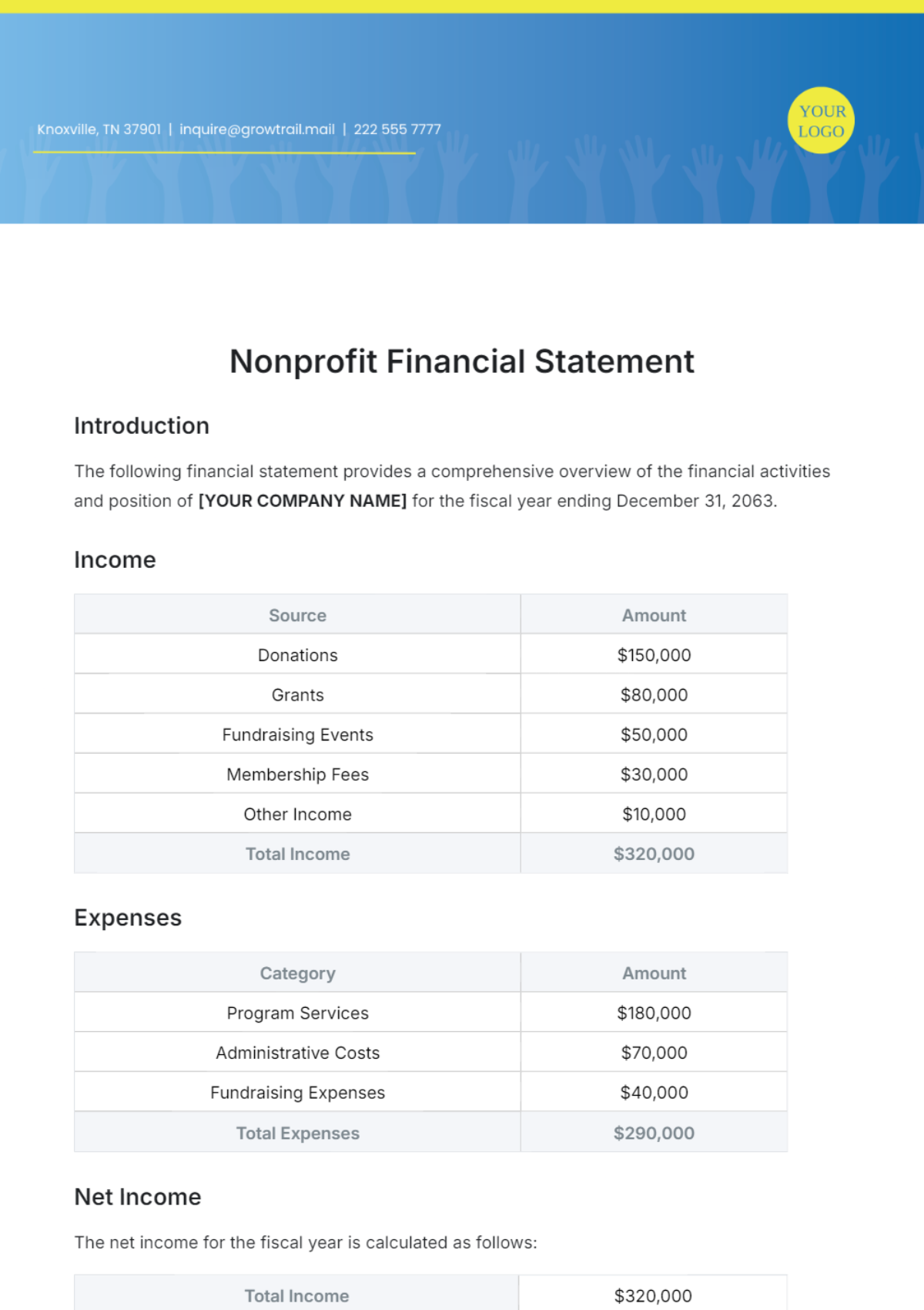 Nonprofit Financial Statement Template - Edit Online & Download