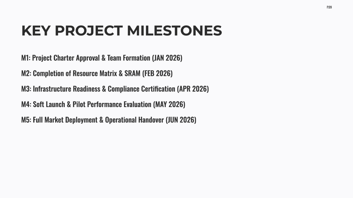 Free Startup Project Plan Template to Edit Online