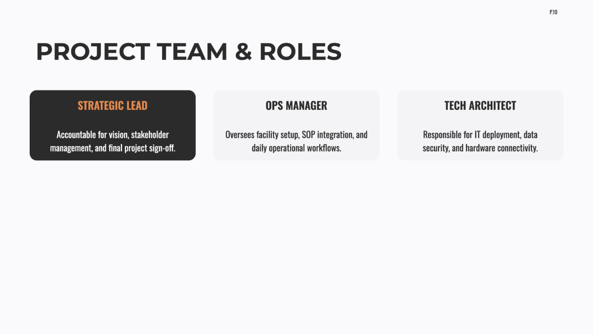Free Startup Project Plan Template to Edit Online