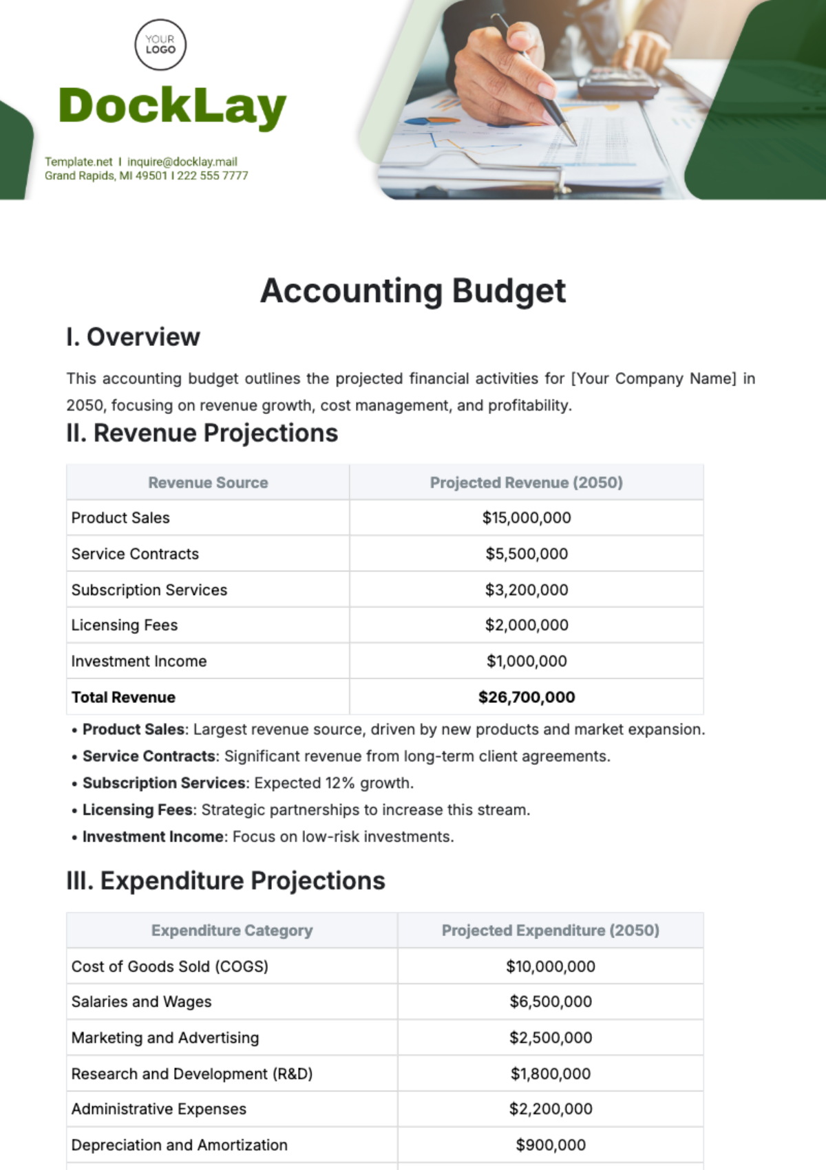 Accounting Budget Template - Edit Online & Download