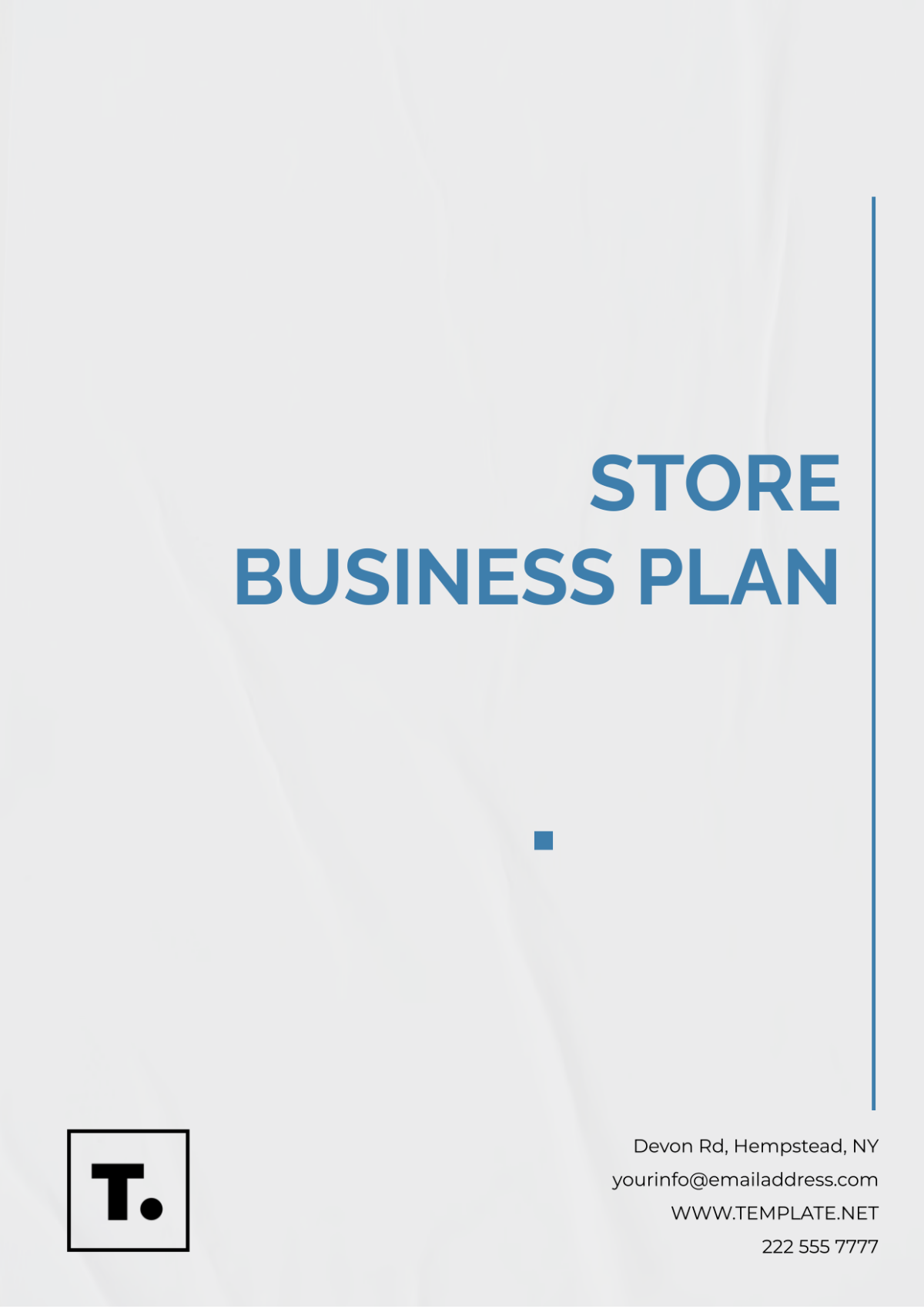 Professional Store Business Plan Template