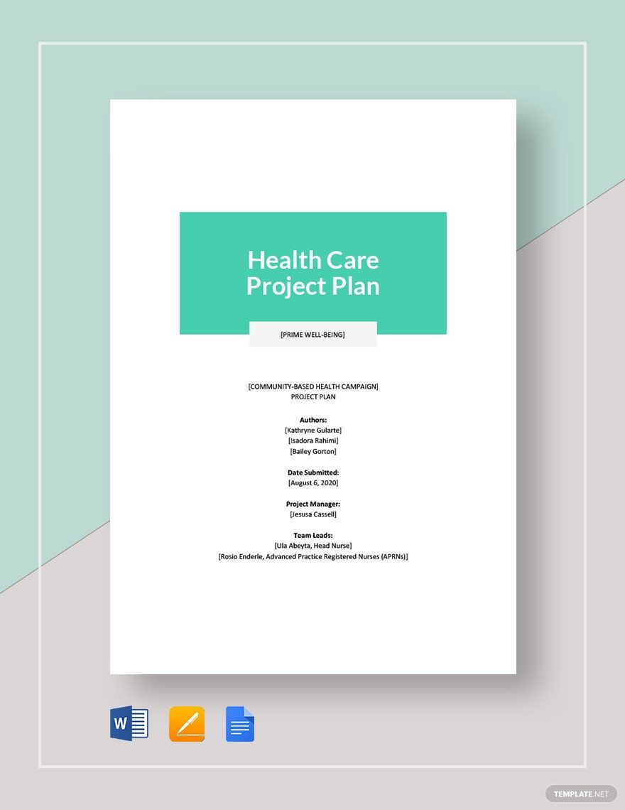 Health Care Project Plan Template Google Docs Word Apple Pages 