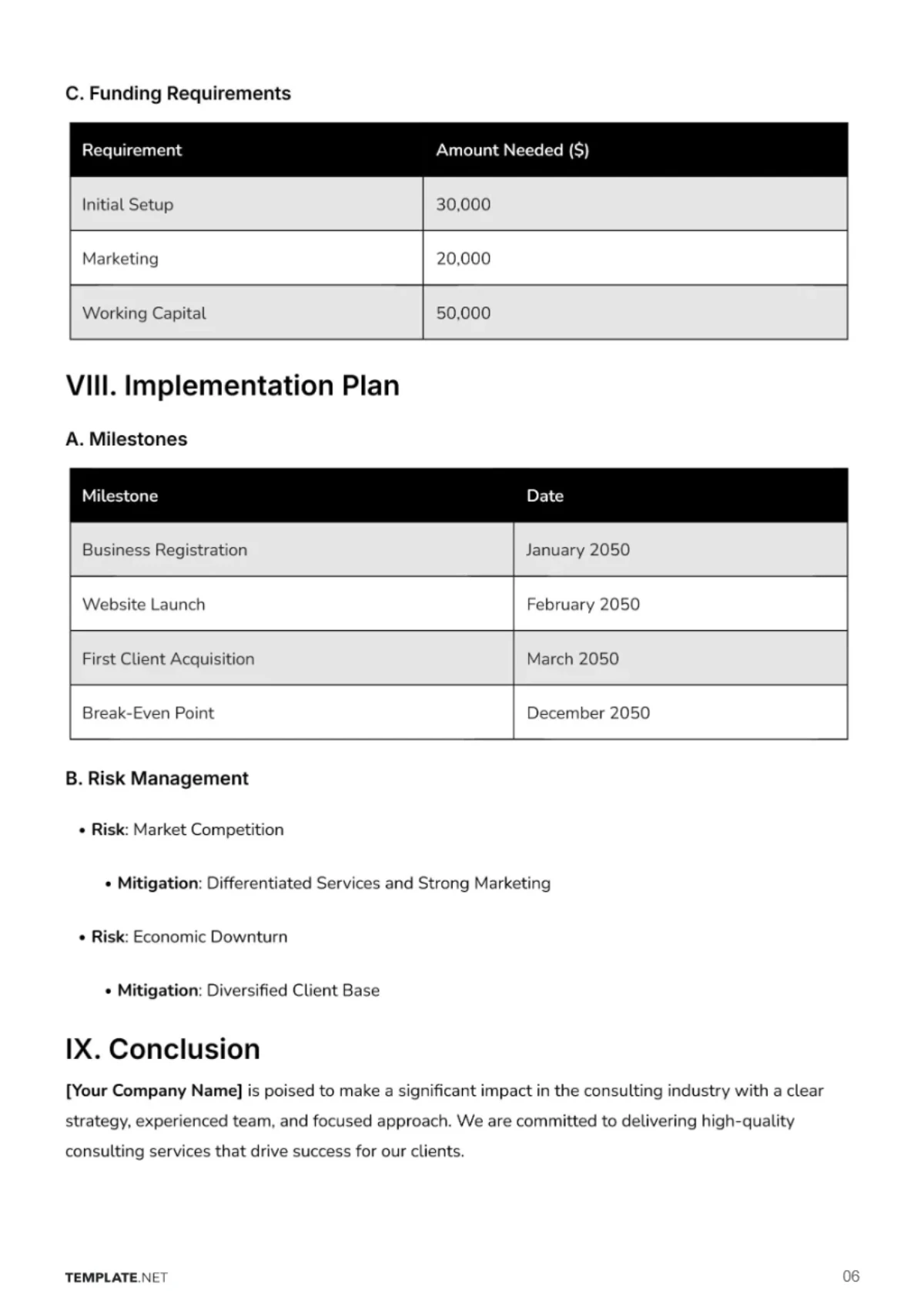Free Consultant Business Plan Template to Edit Online