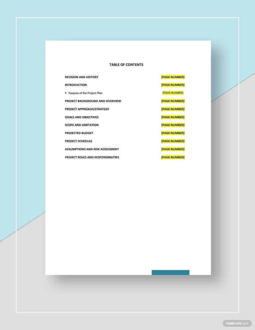 Mobile Car Wash Business Plan Template Google Docs Word Apple Pages Template Net