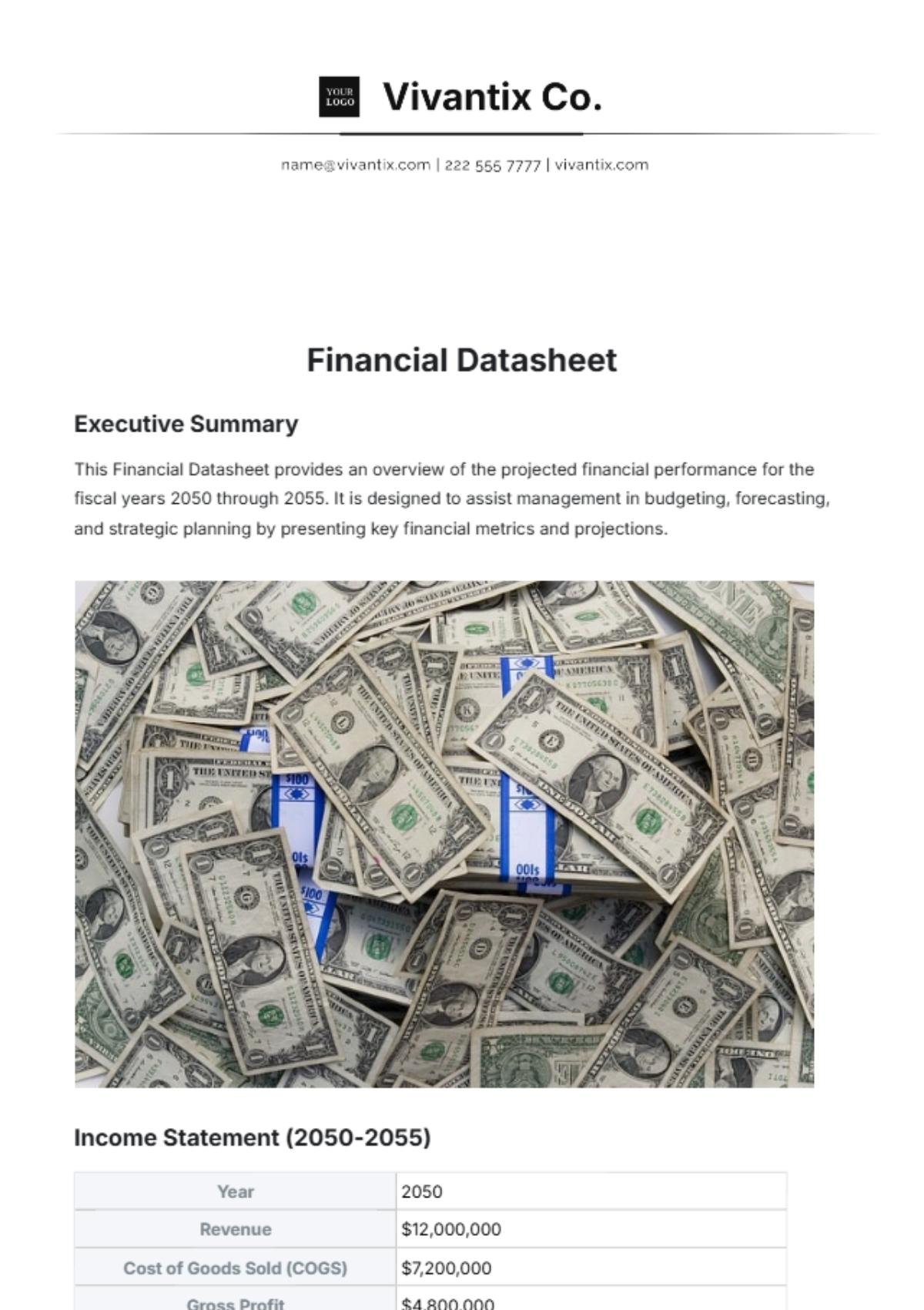 Financial Datasheet Template