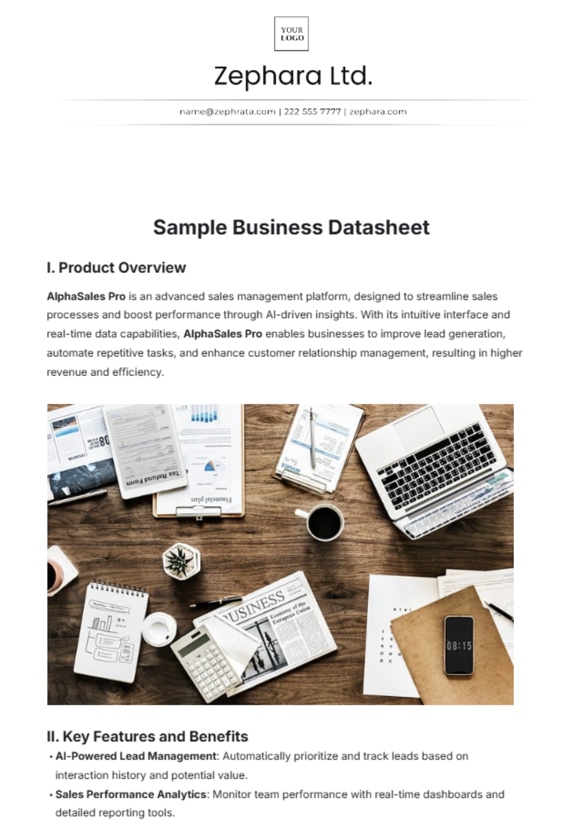 Sample Business Datasheet Template