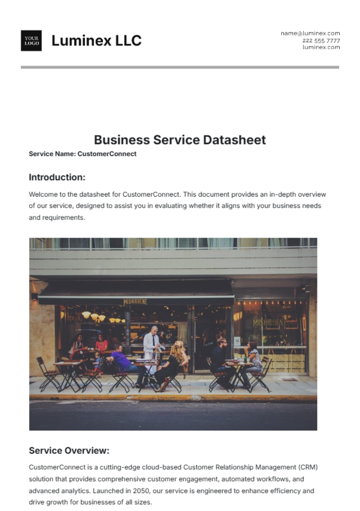 Business Service Datasheet Template