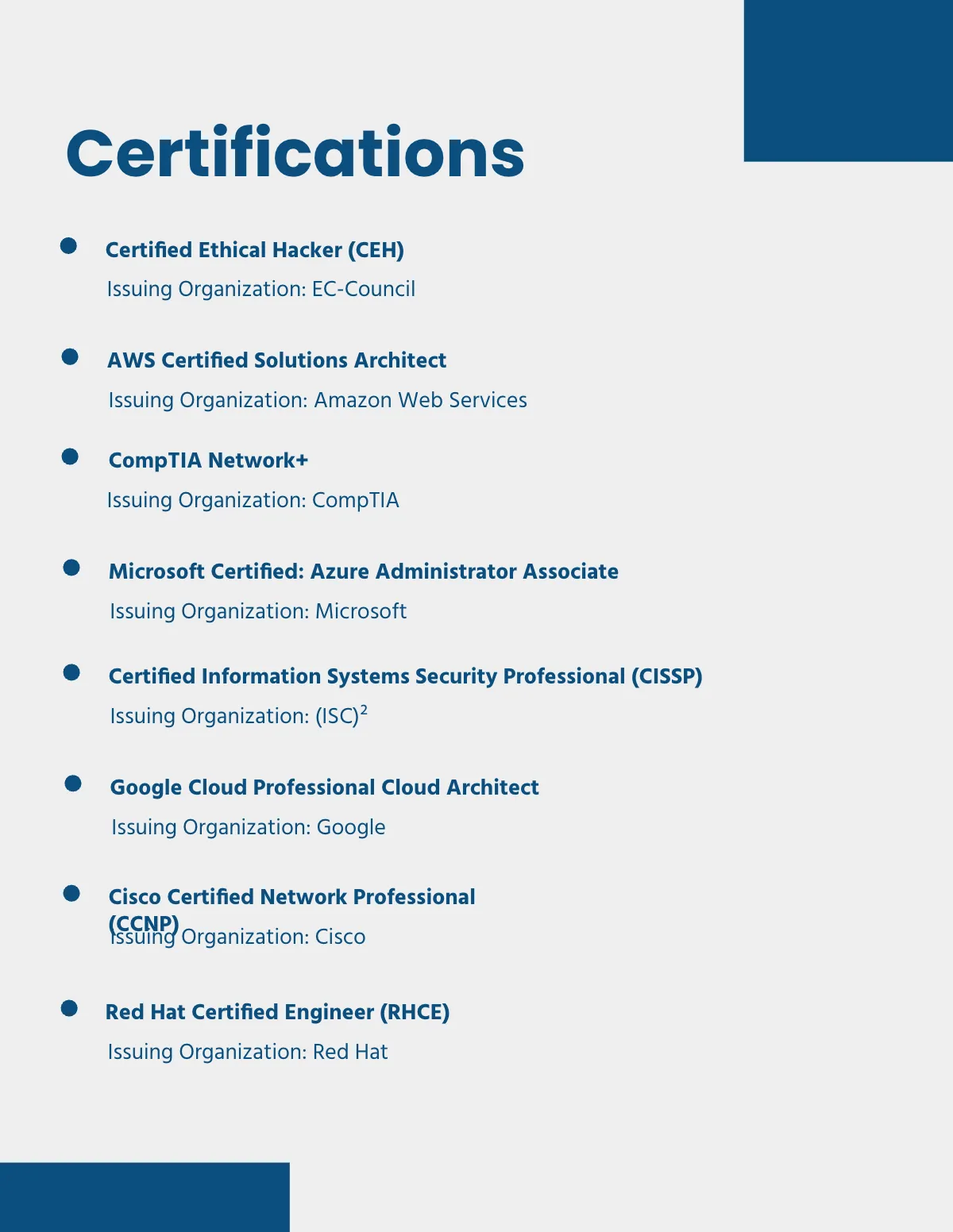 Free IT Professional Portfolio Template to Edit Online