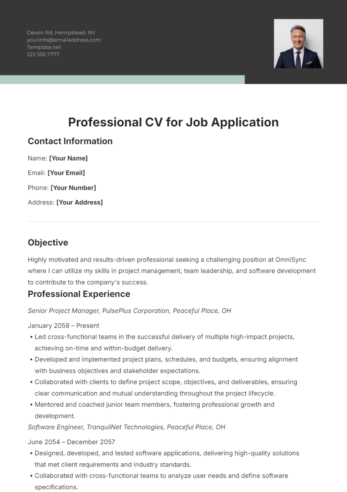 Professional CV Template for Job Application - Edit Online & Download