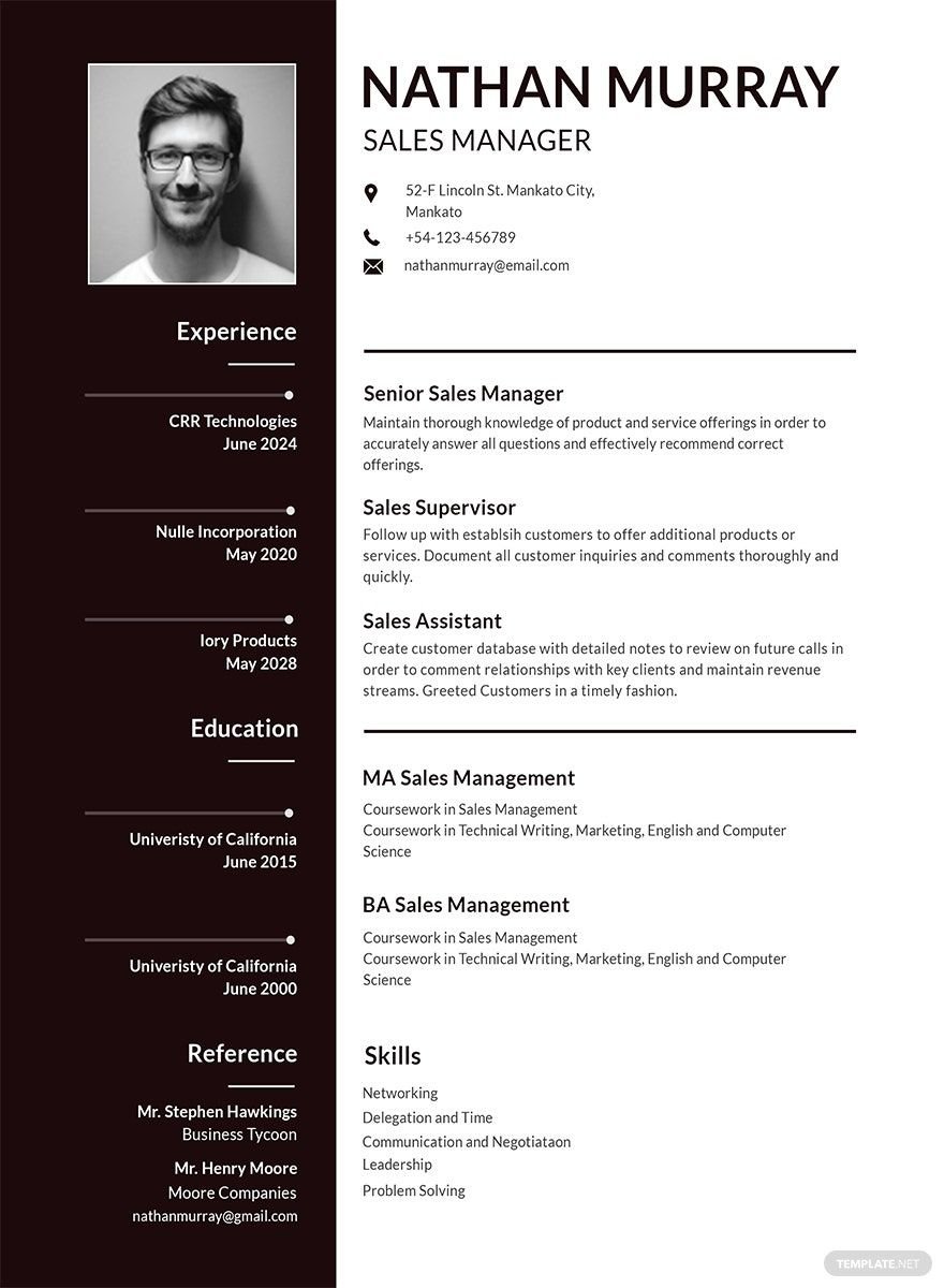 Sales Manager Resume
