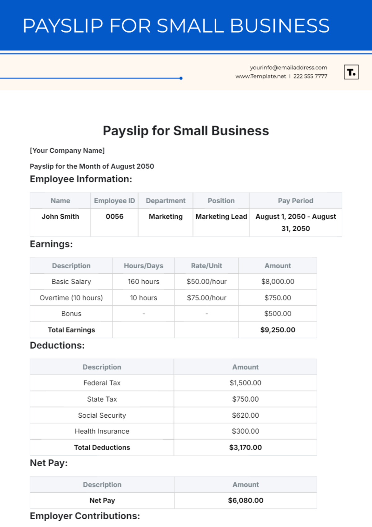 Payslip Template for Small Business - Edit Online & Download