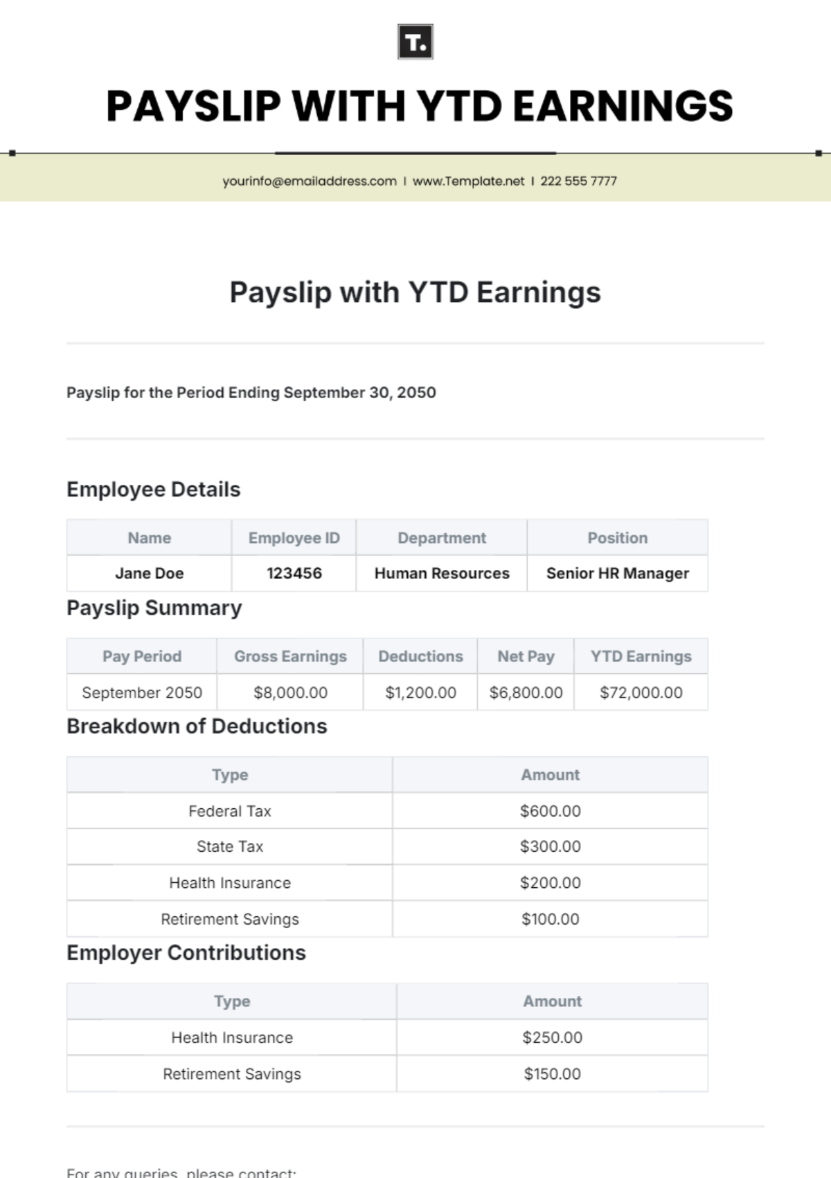 Free Payslip Template with YTD Earnings