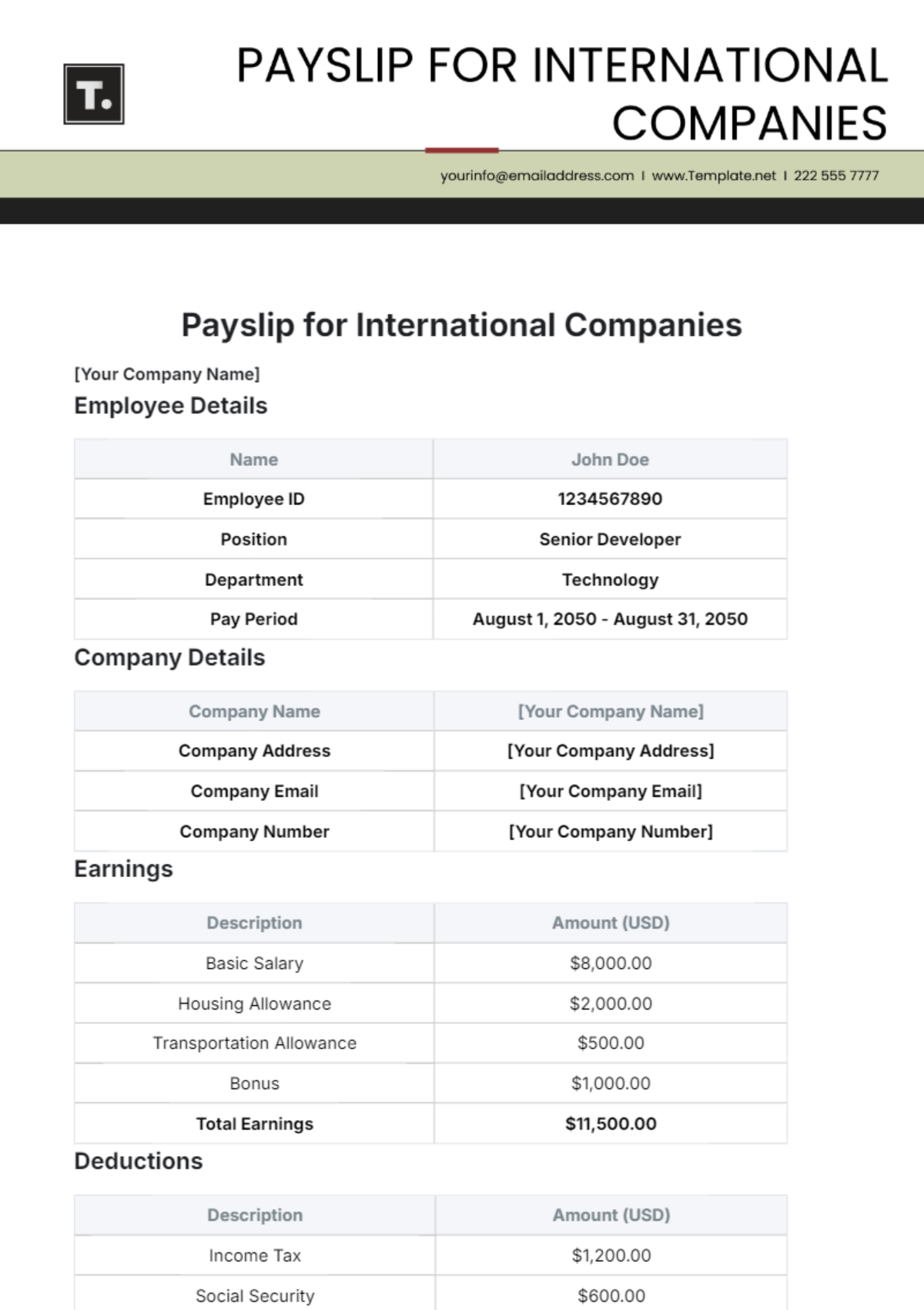 Payslip Template for International Companies - Edit Online & Download