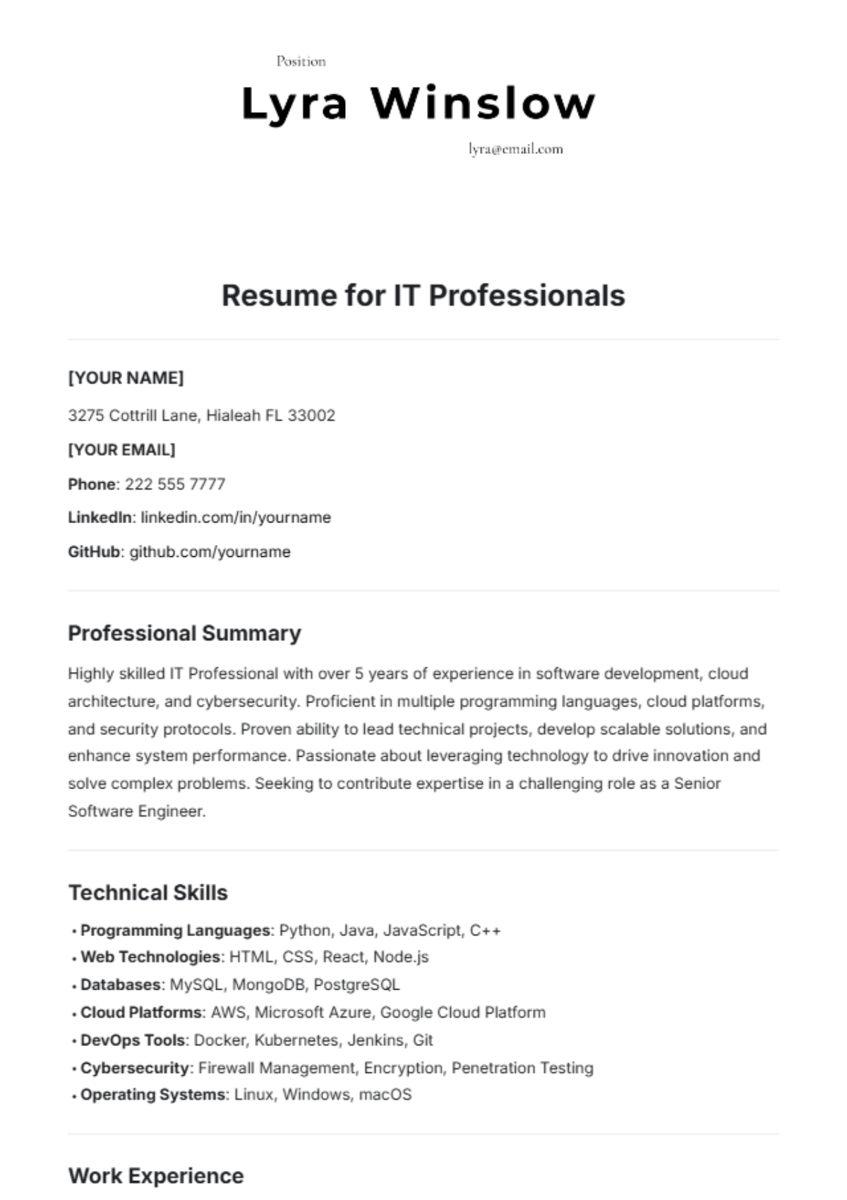 Resume Template for IT Professionals