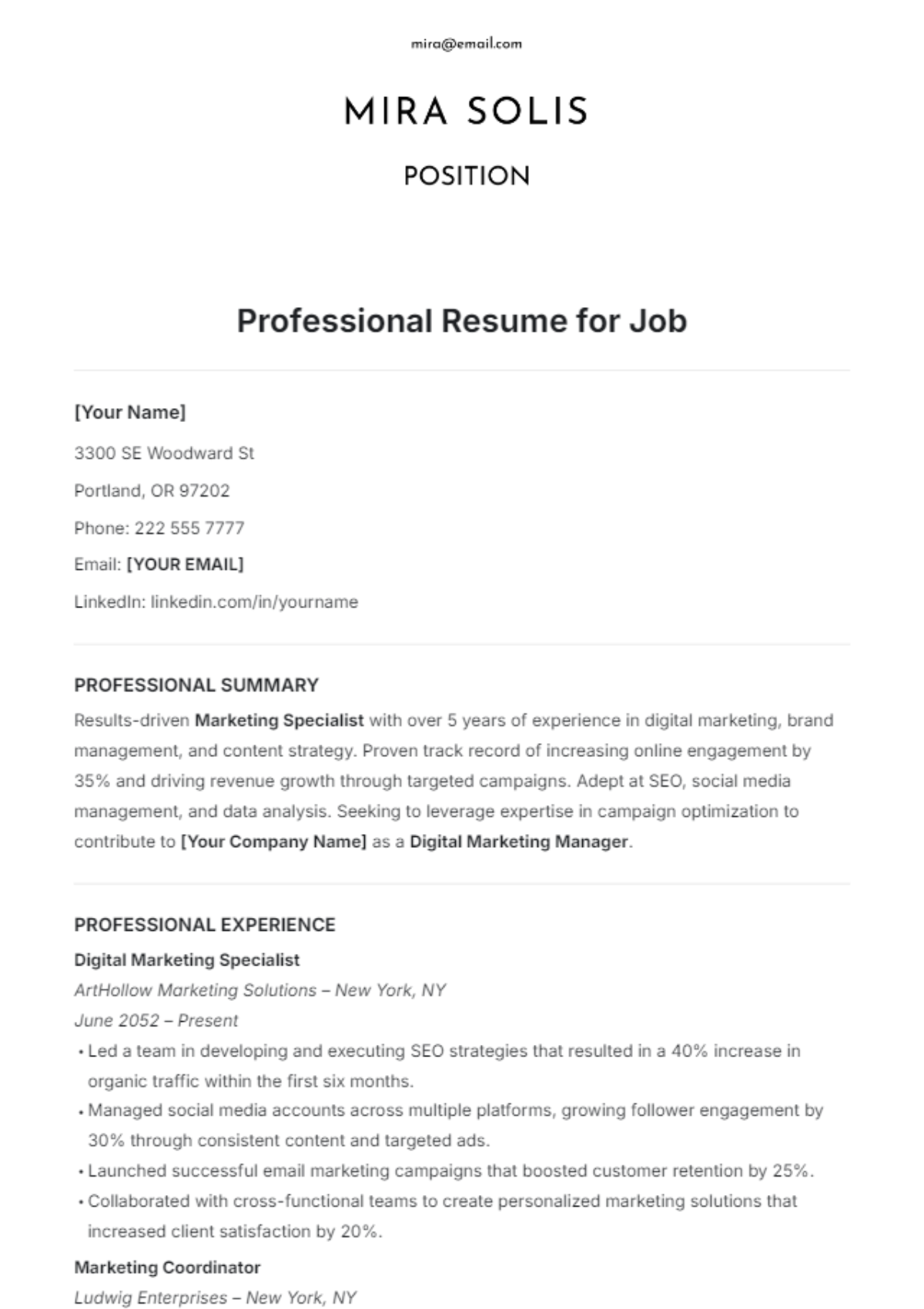 Professional Resume Template for Job