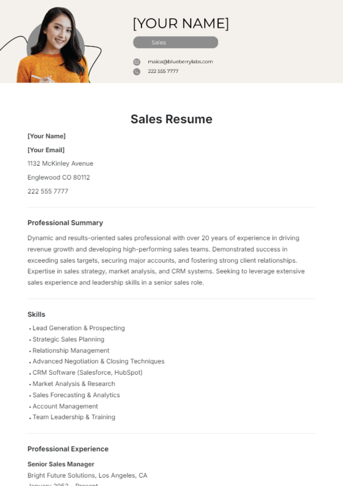 Sales Resume Template