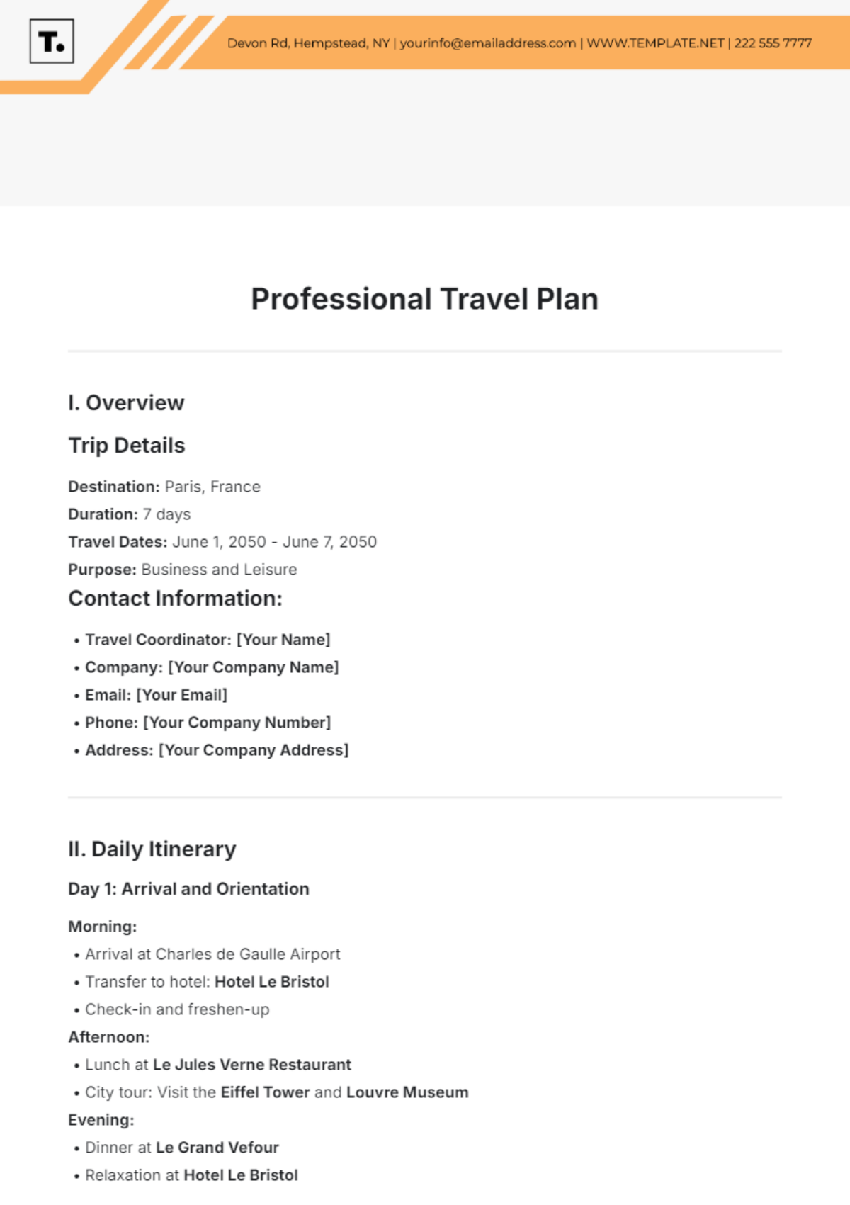 Professional Travel Plan Template - Edit Online & Download