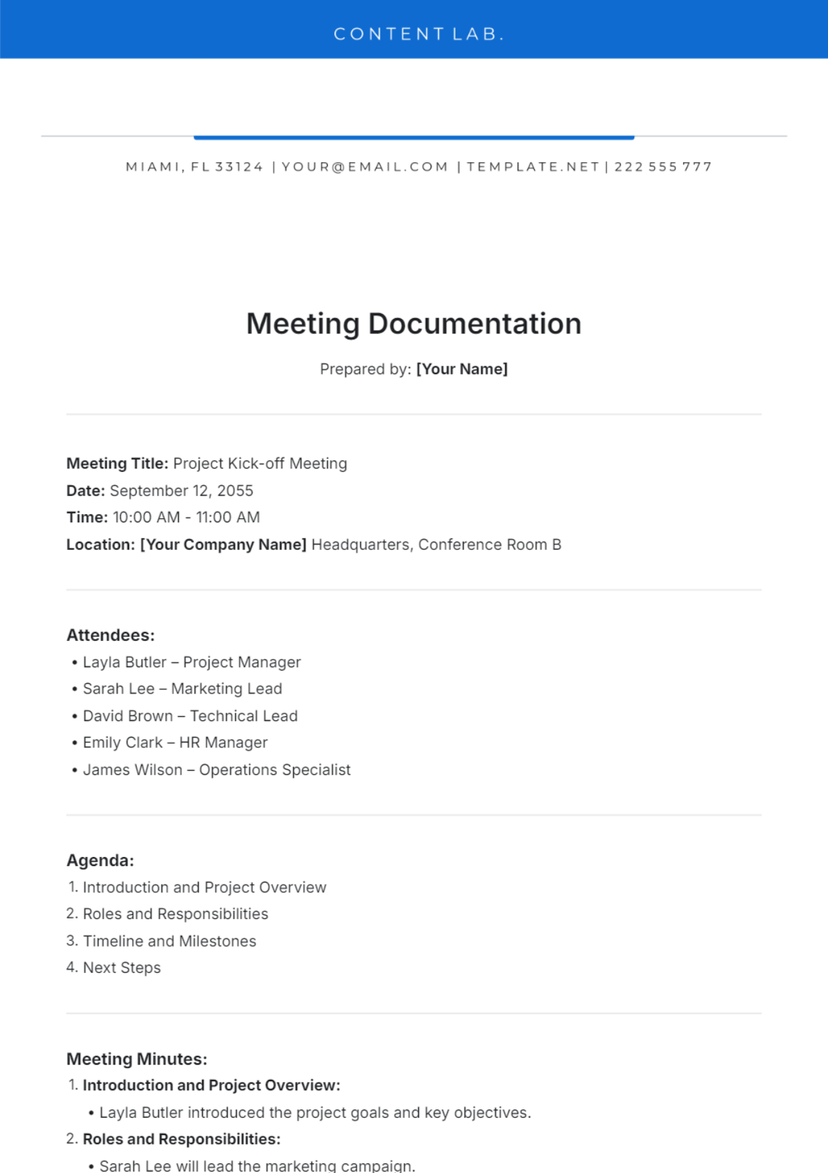 Meeting Documentation Template - Edit Online & Download