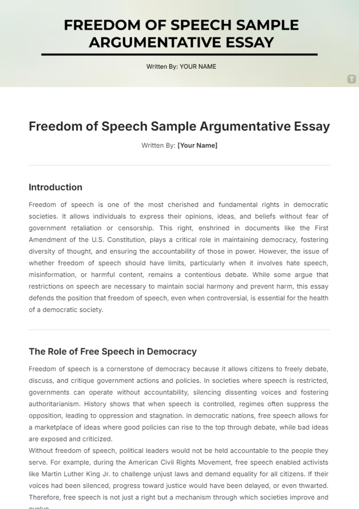 Freedom of Speech Sample Argumentative Essay Template - Edit Online & Download