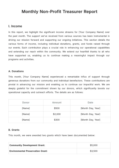 Free Monthly Non-Profit Treasurer Report Template to Edit Online