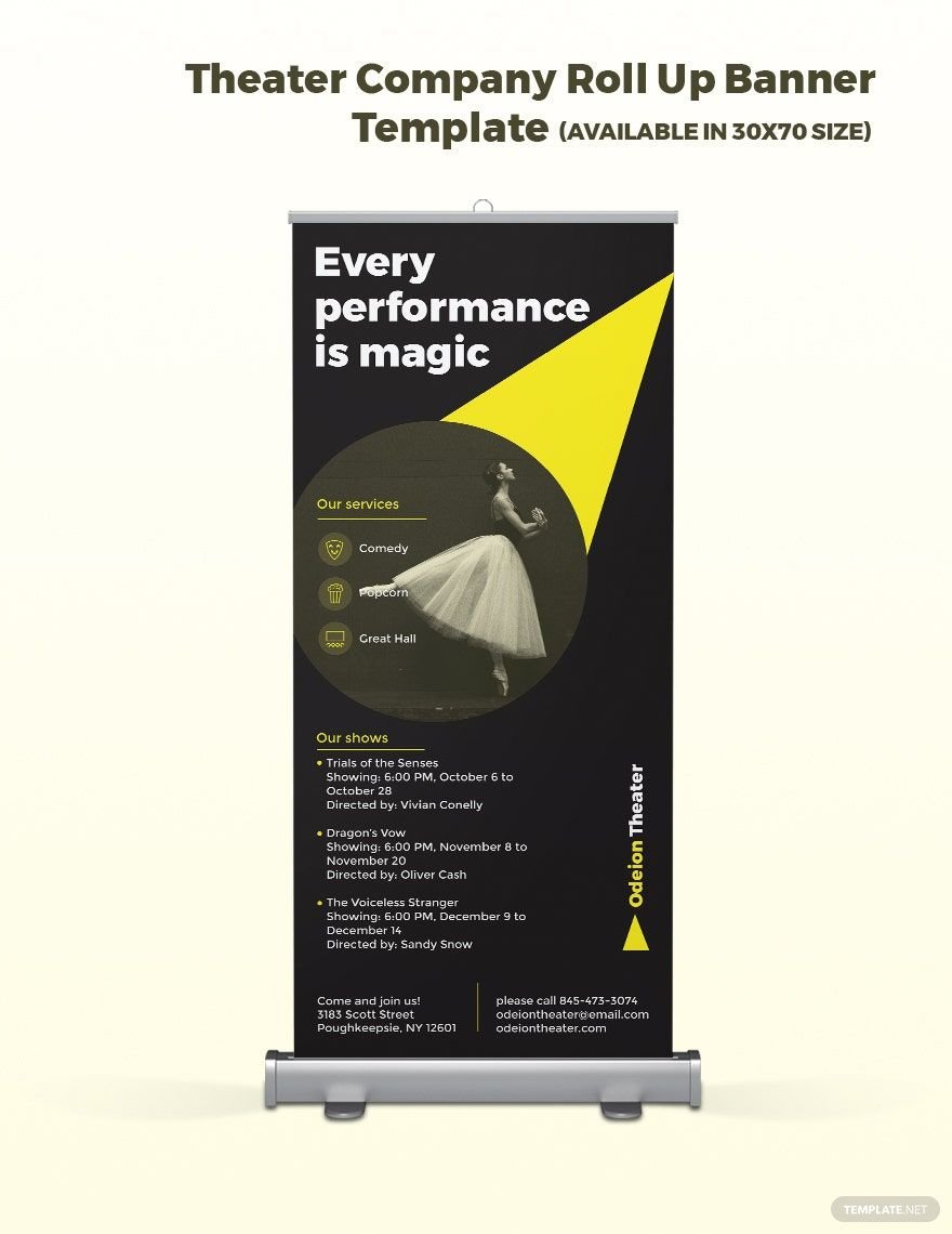 Theater Company Roll Up Banner Template